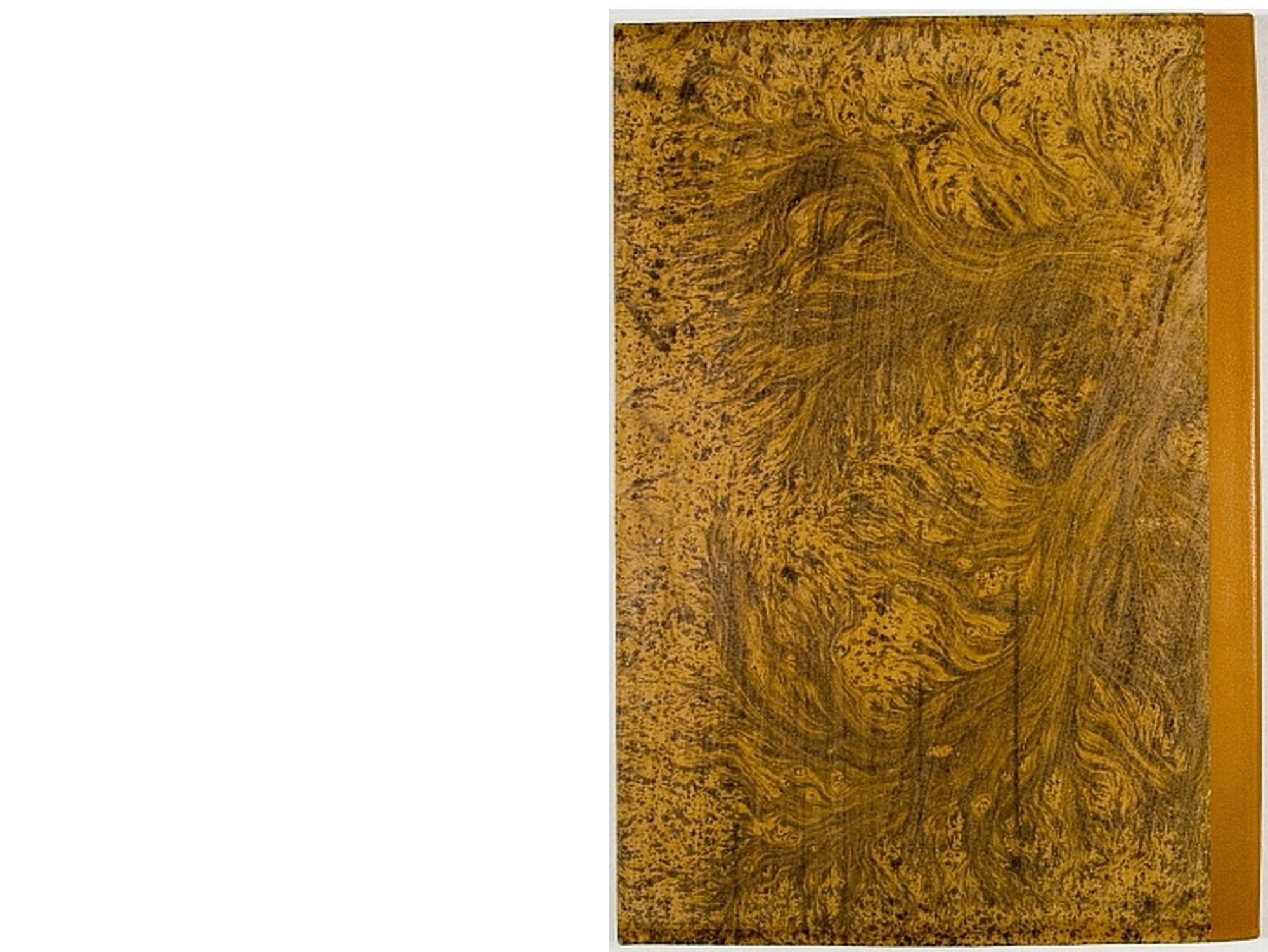 Pag. piatto posteriore