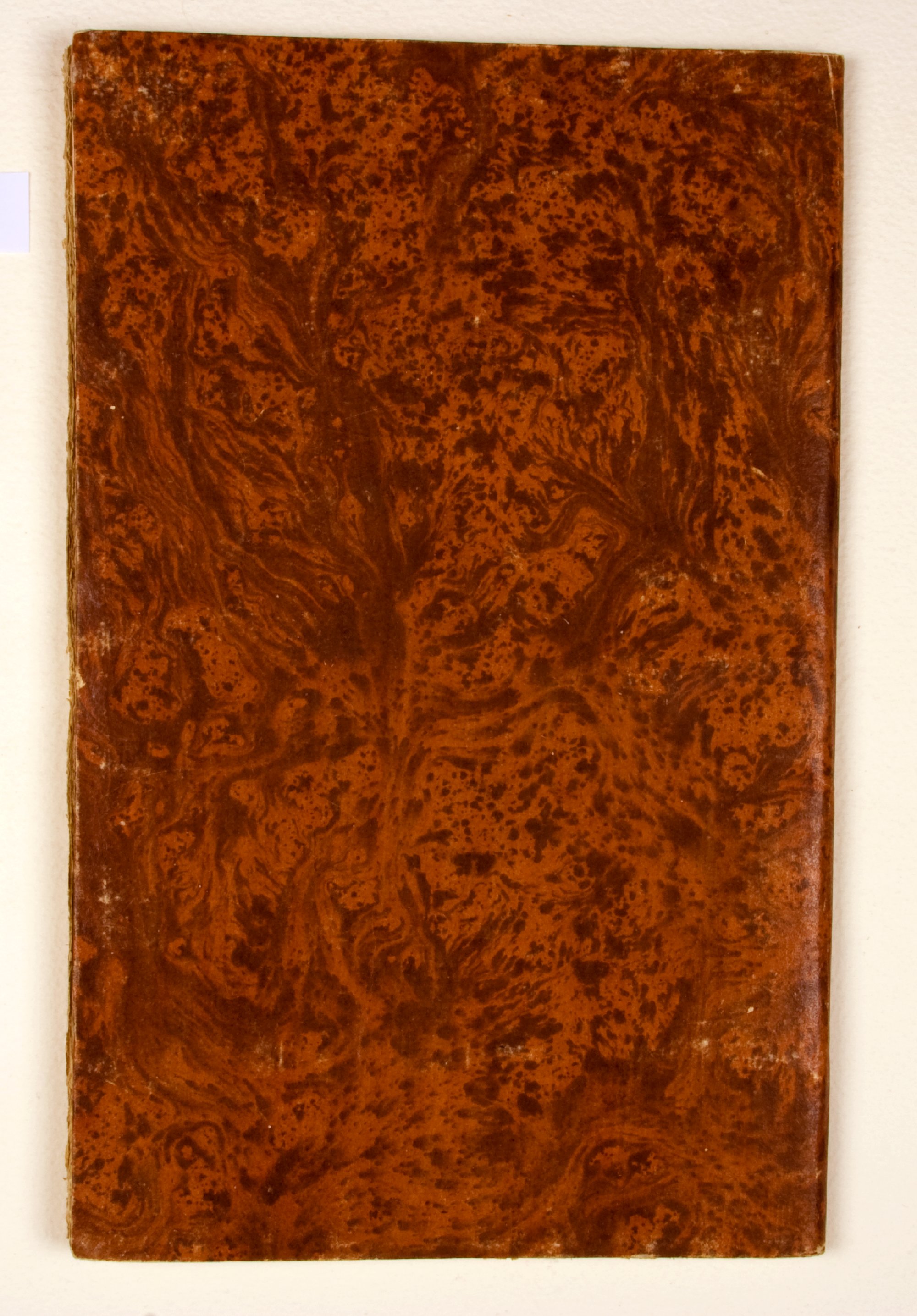 Pag. piatto posteriore