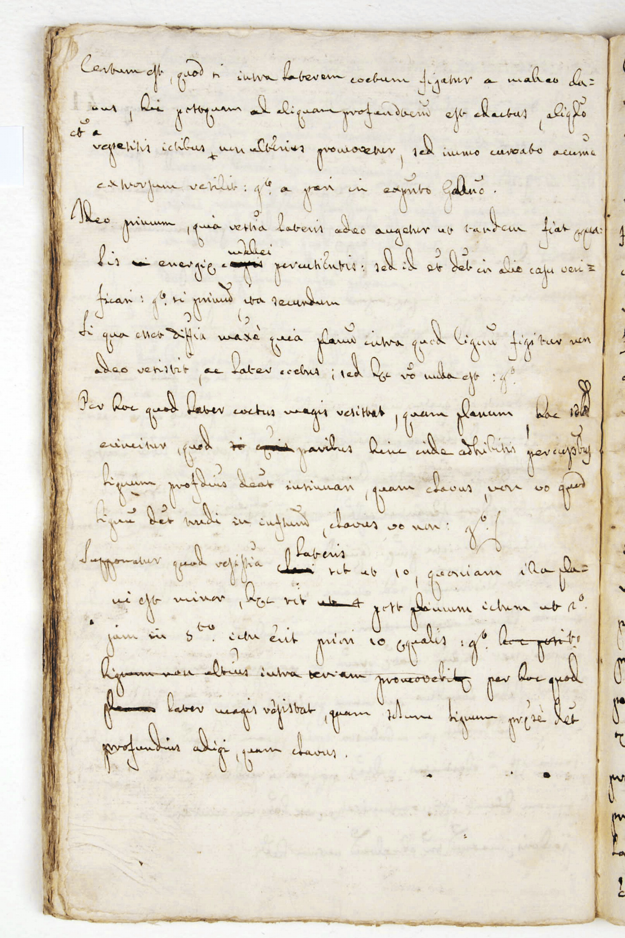 Pag. 41v