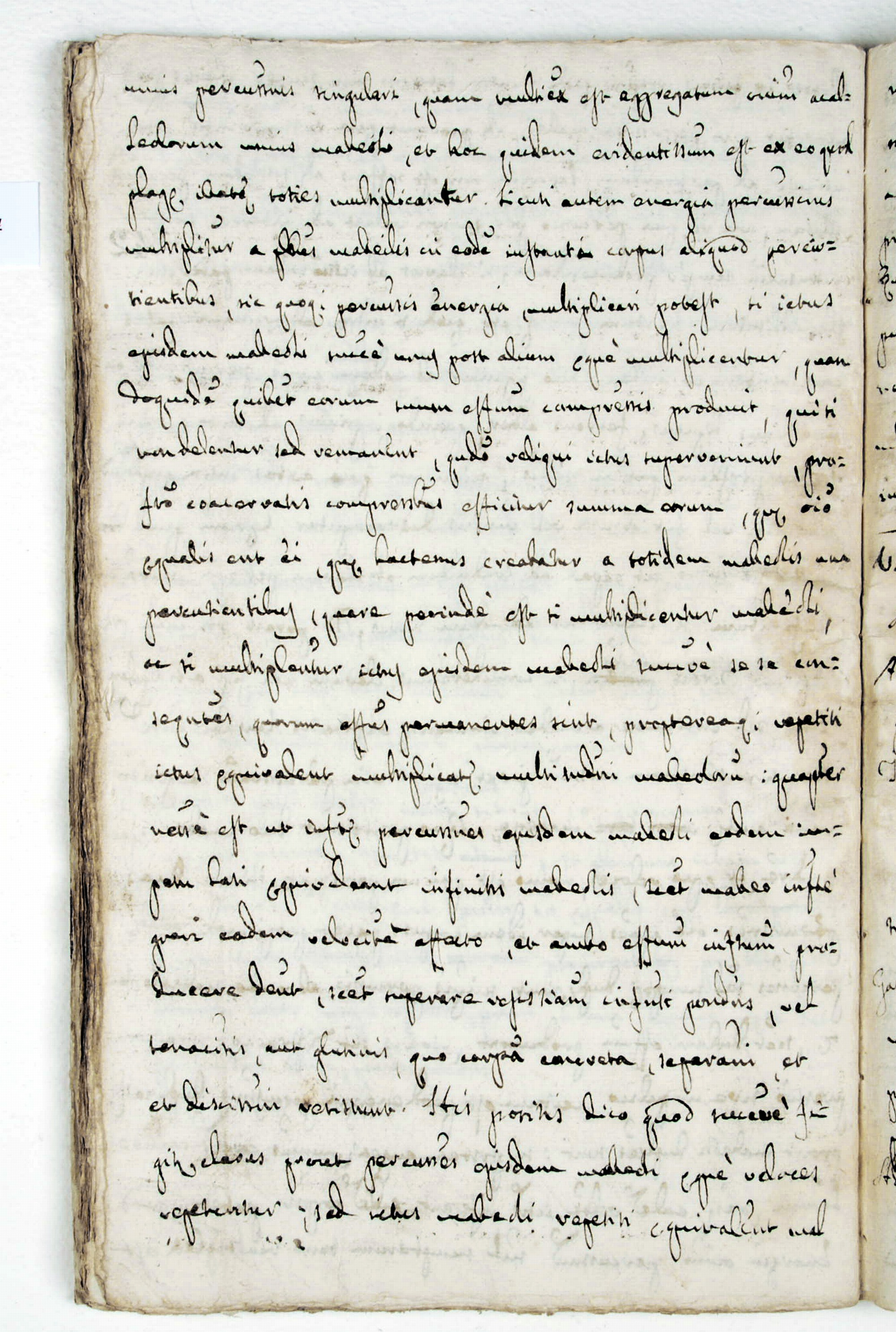 Pag. 42v