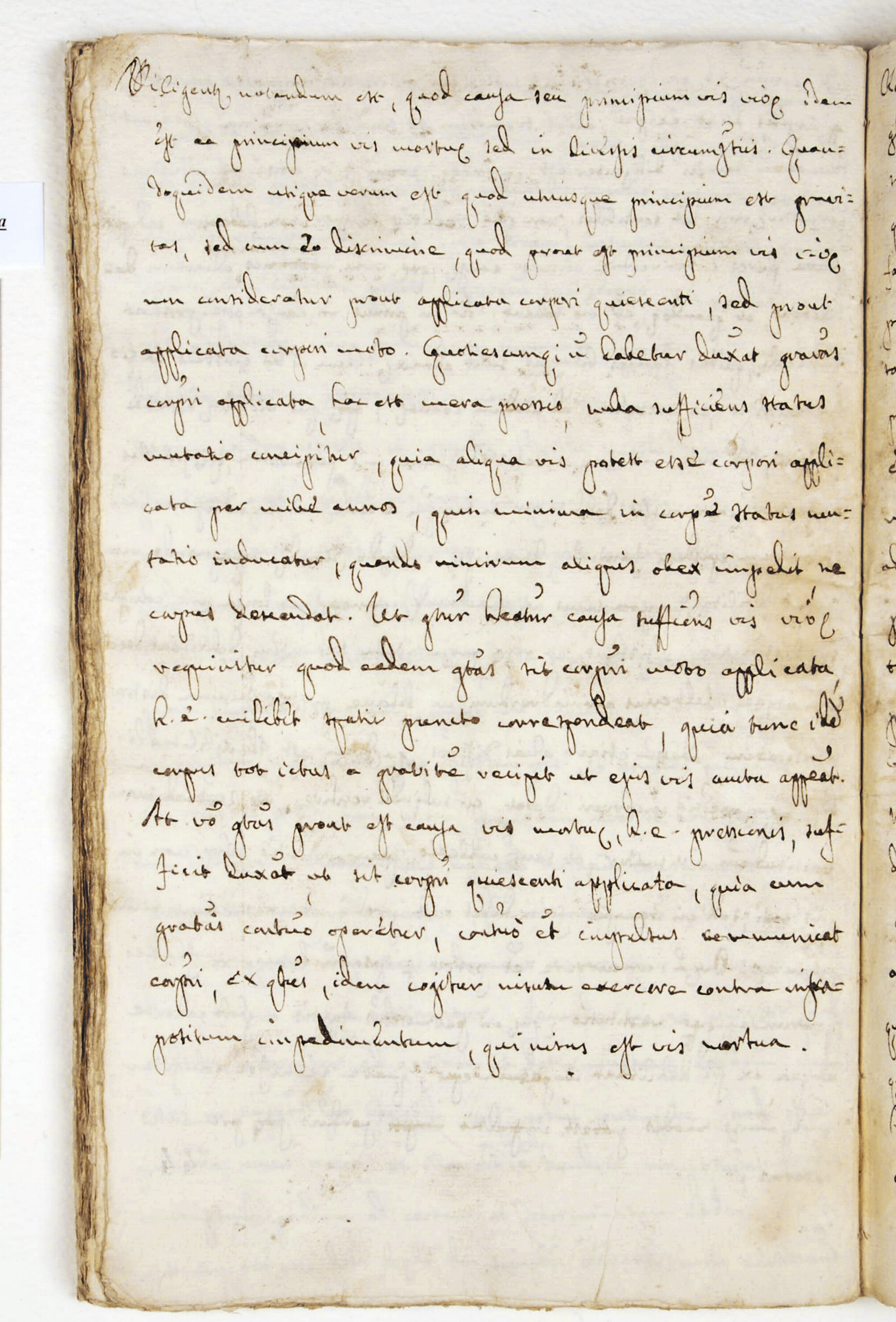 Pag. 44v