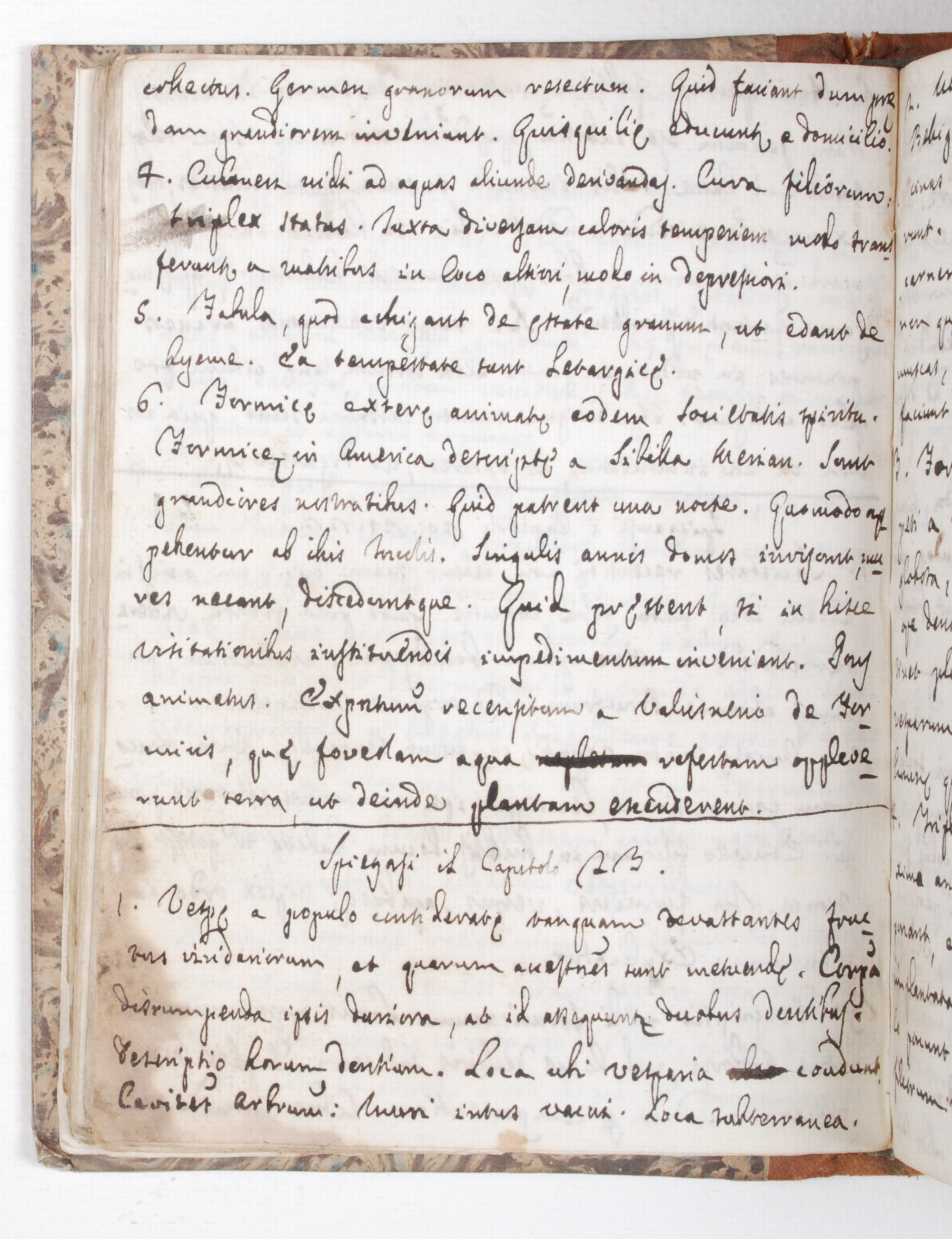 Pag. 41v