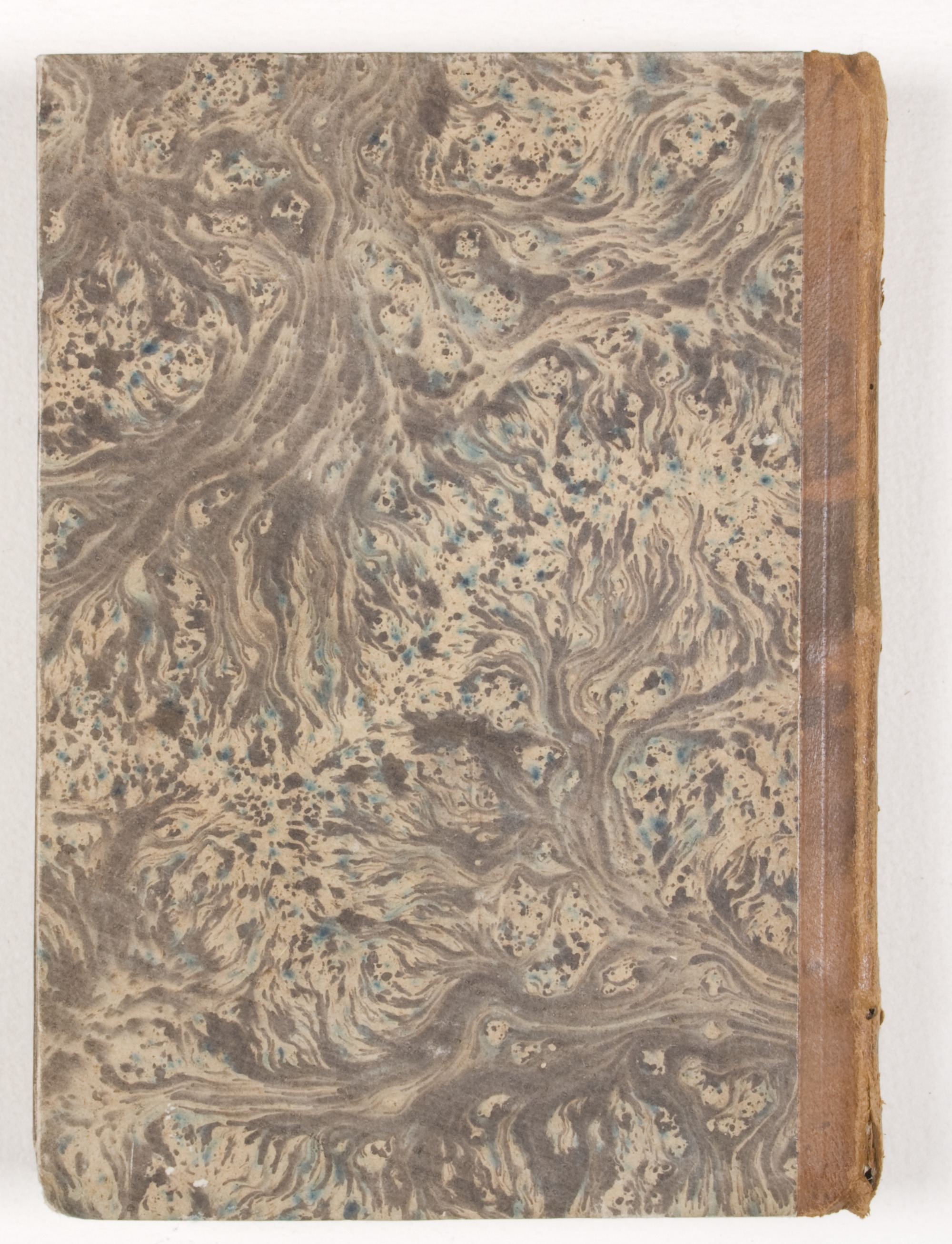 Pag. piatto posteriore