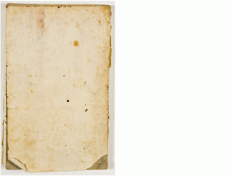 Pag. piatto posteriore