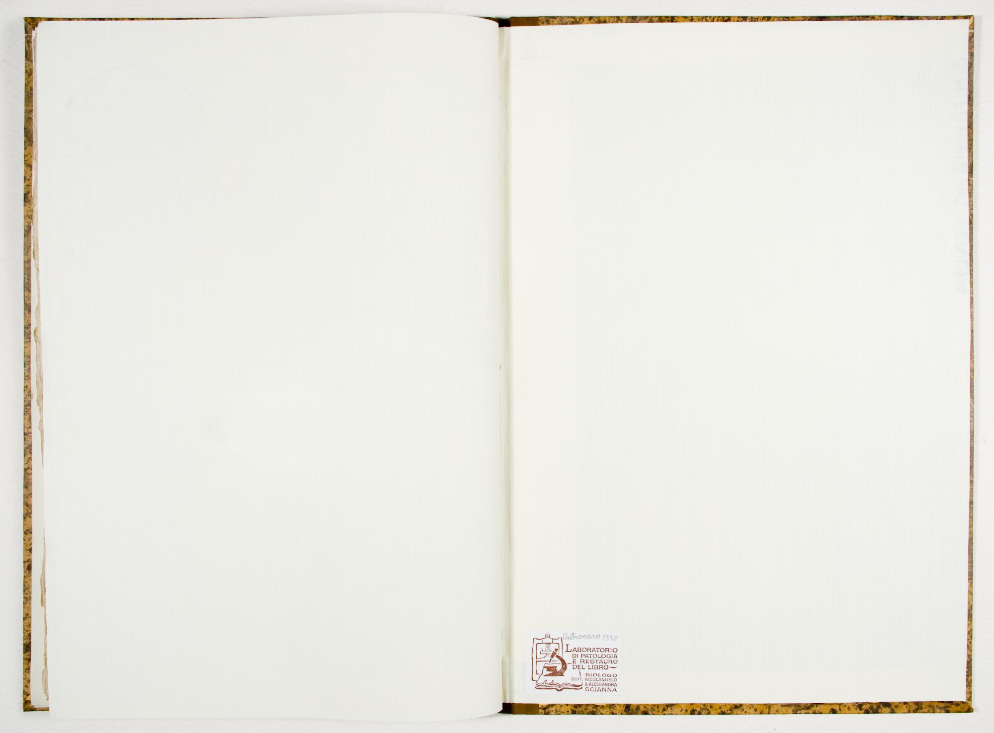 Pag. controguardia piatto posteriore