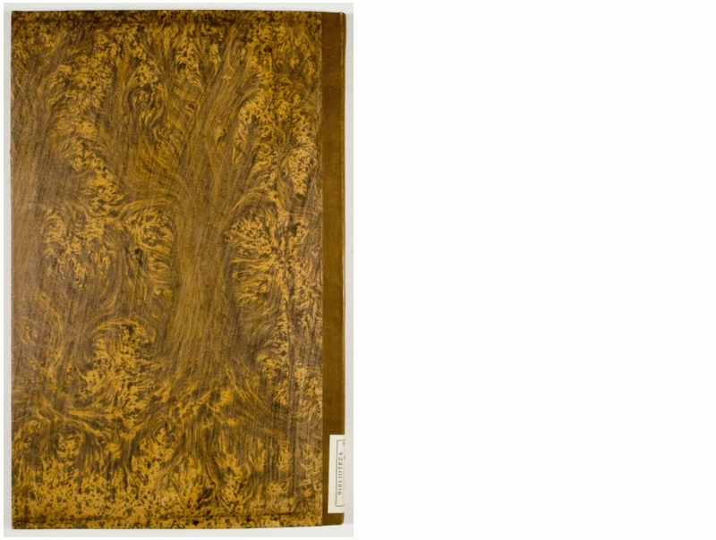 Pag. piatto posteriore