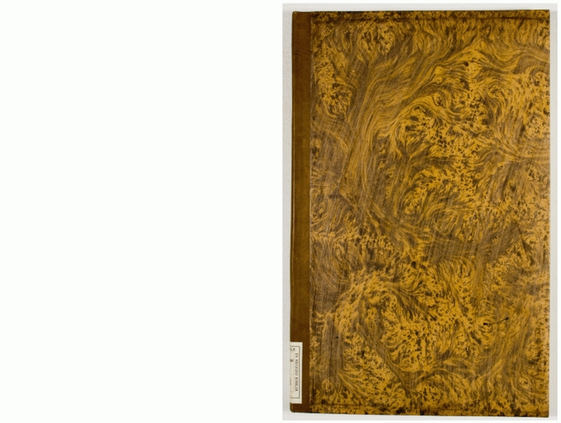 Pag. piatto anteriore