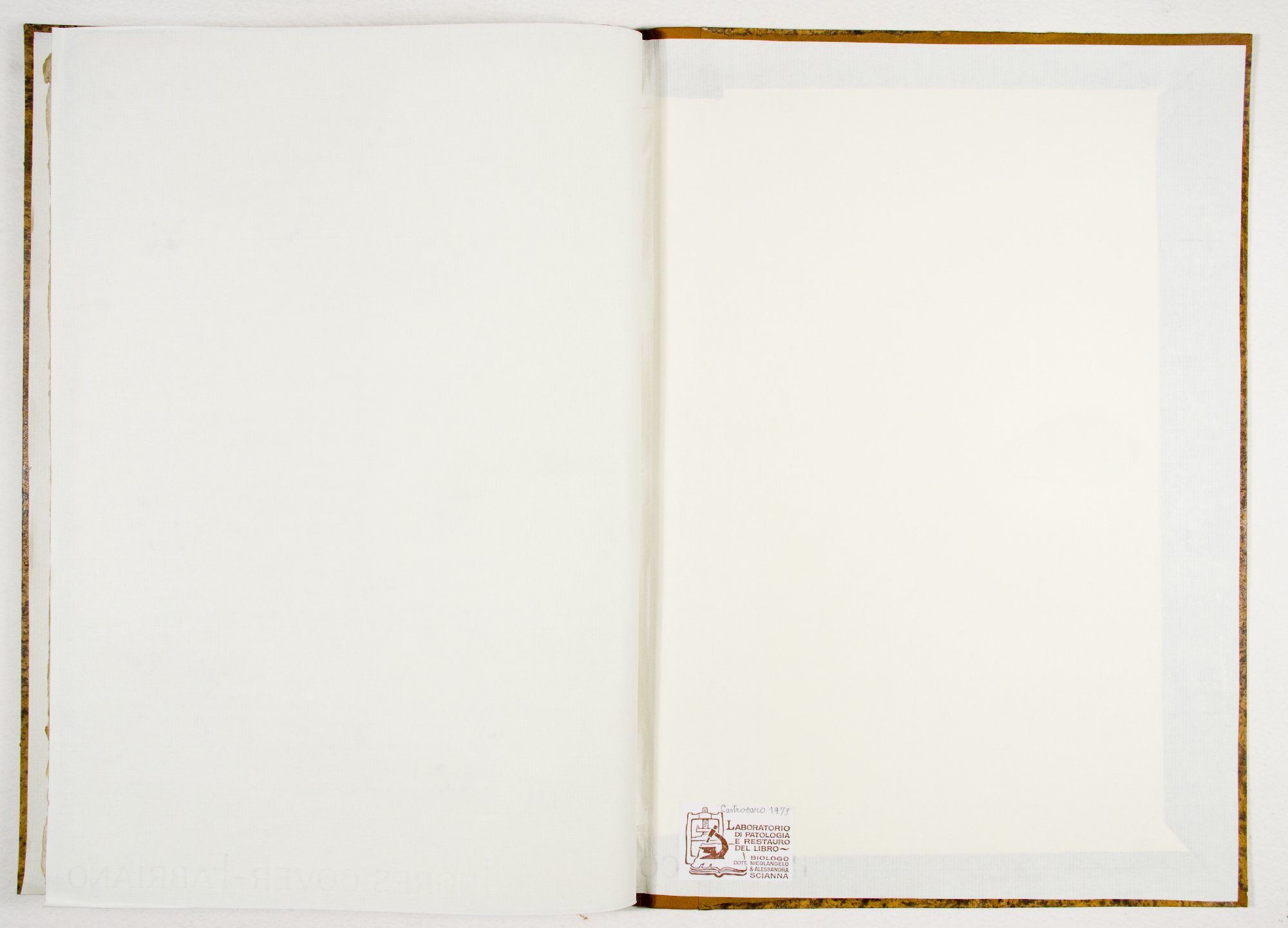 Pag. controguardia piatto posteriore