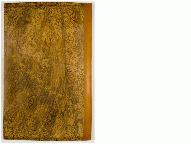 Pag. piatto posteriore