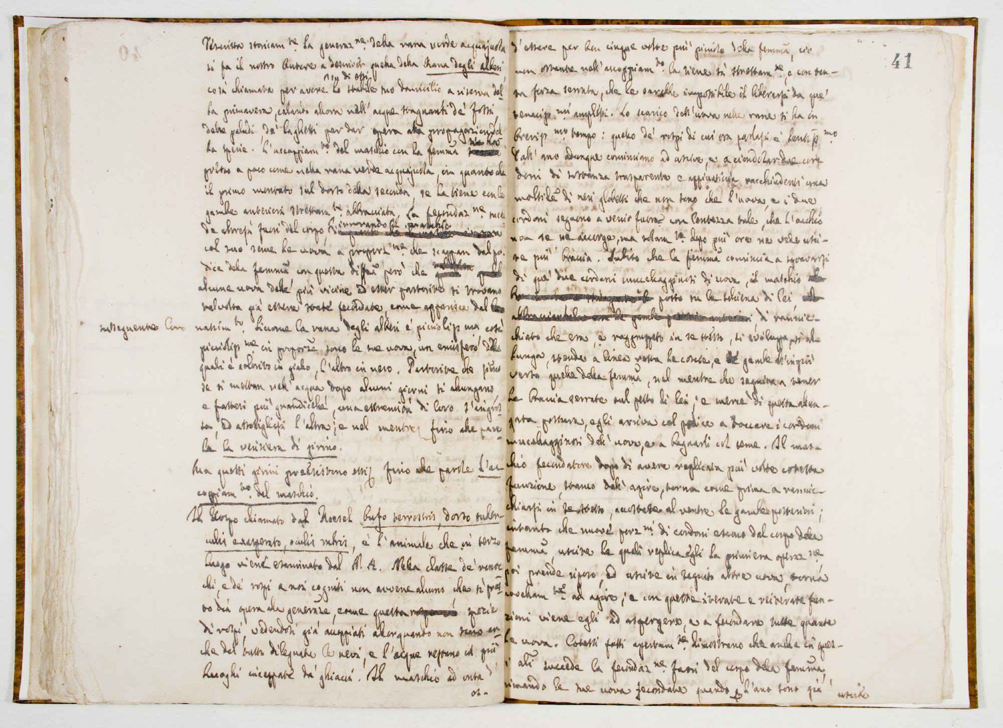 Pag. 41