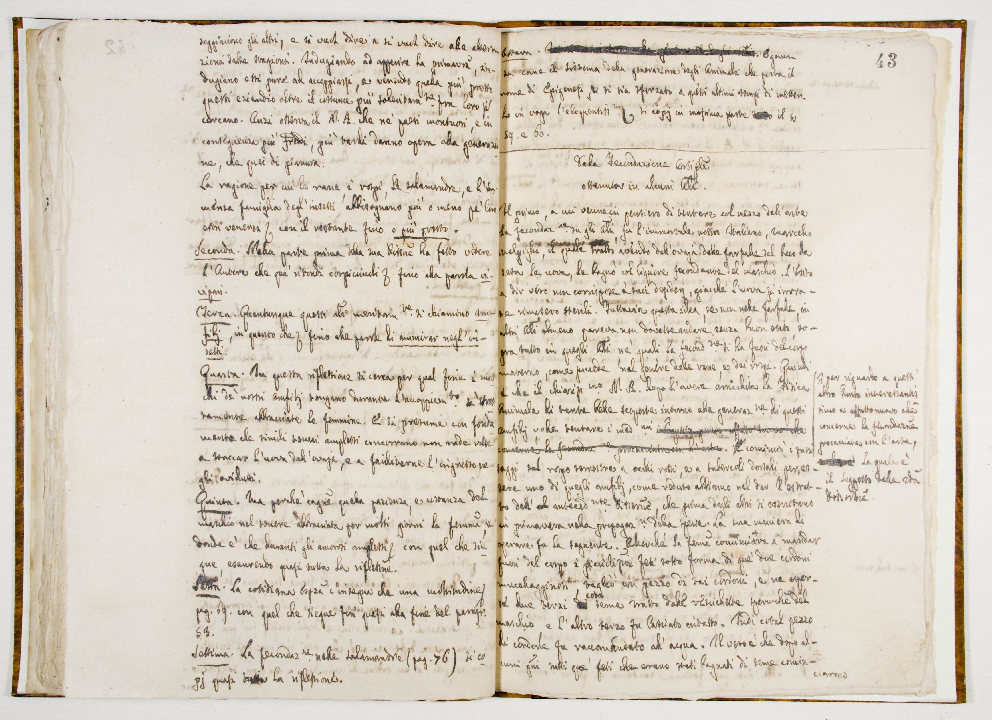 Pag. 43