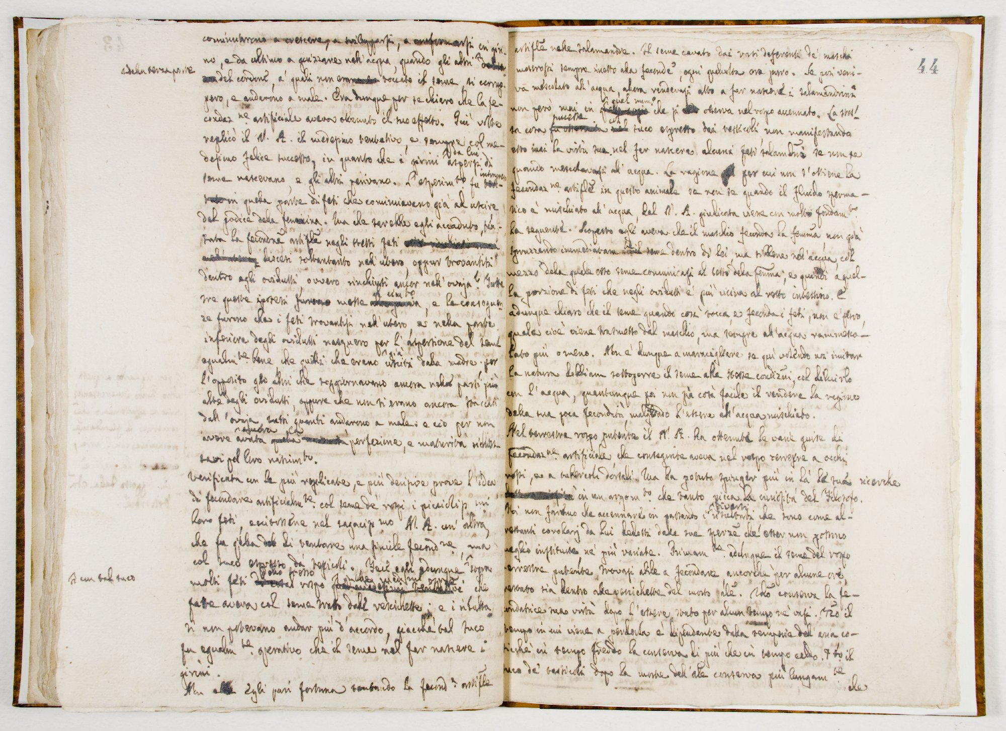 Pag. 44