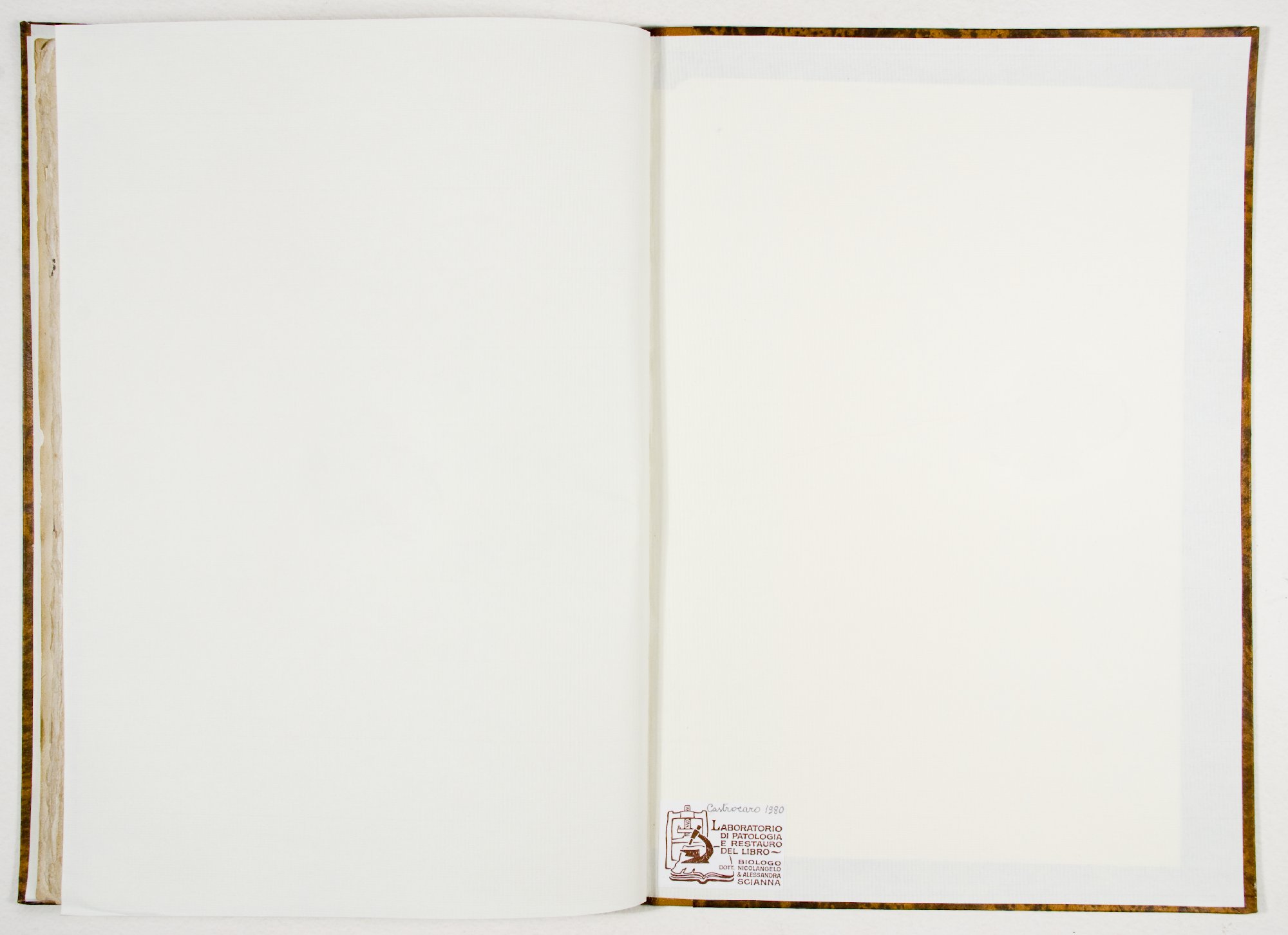 Pag. controguardia piatto posteriore