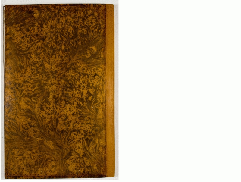 Pag. piatto posteriore