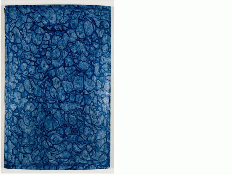 Pag. piatto posteriore