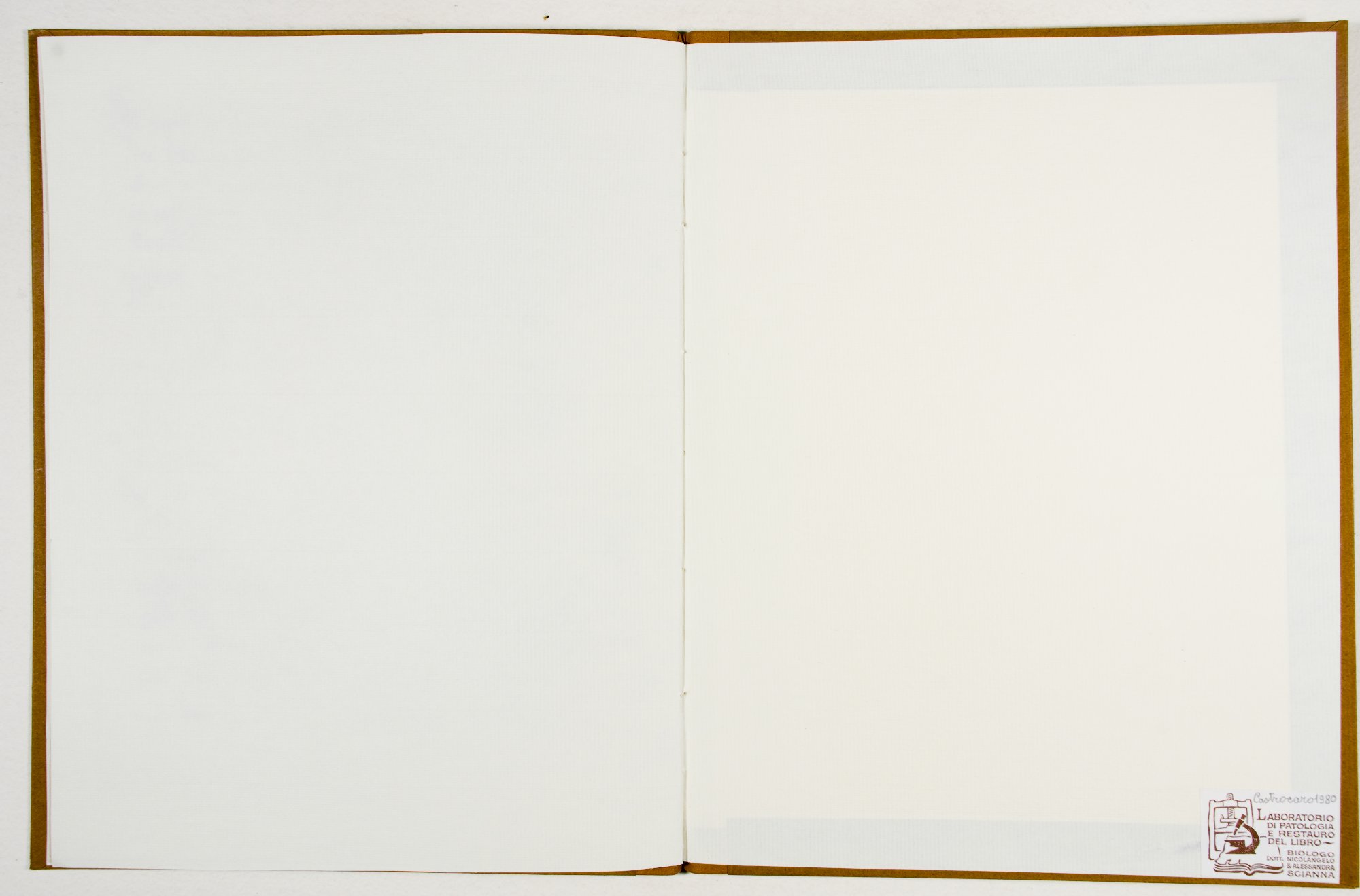 Pag. controguardia piatto posteriore