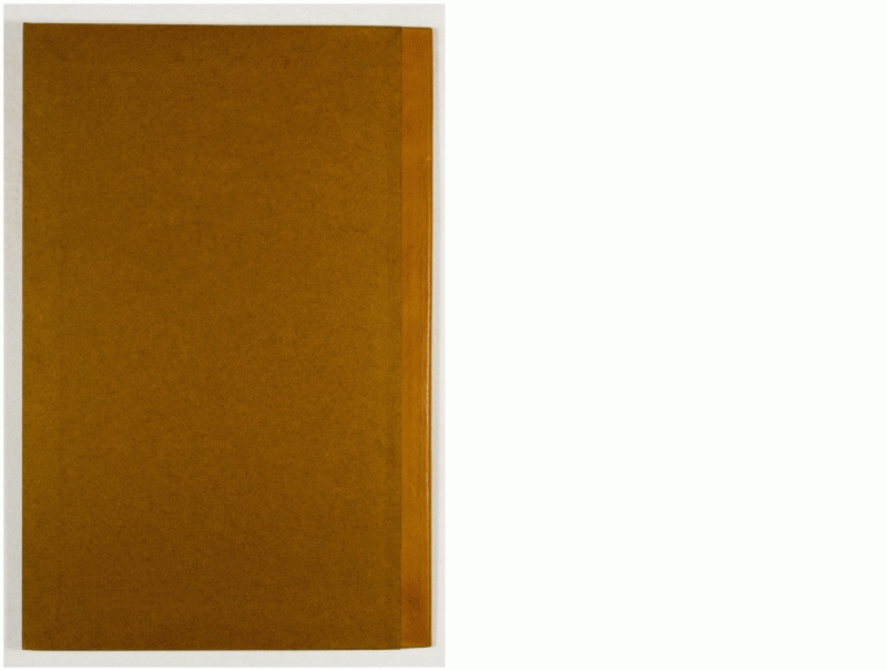 Pag. piatto posteriore