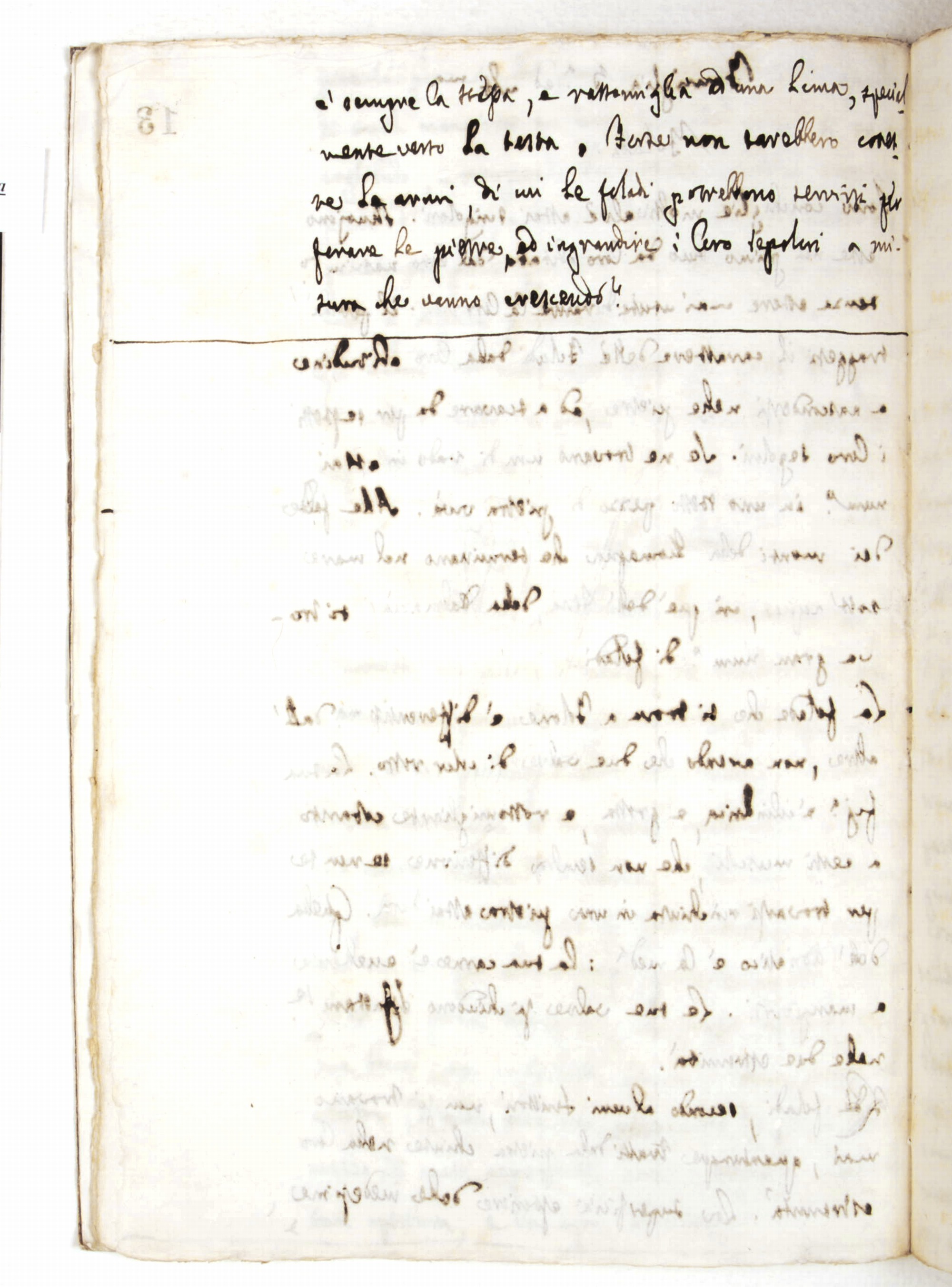 Pag. 13v