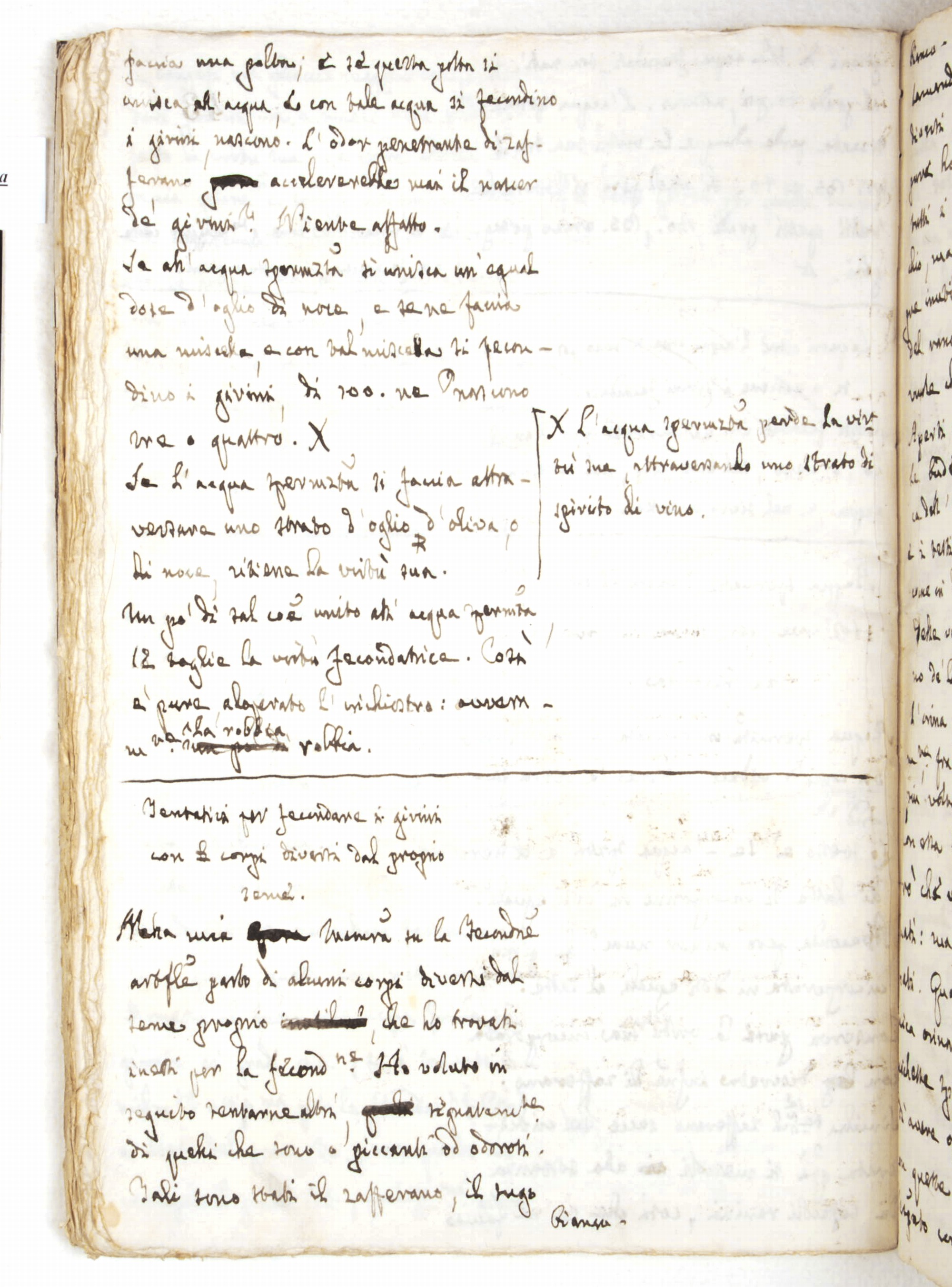 Pag. 43v