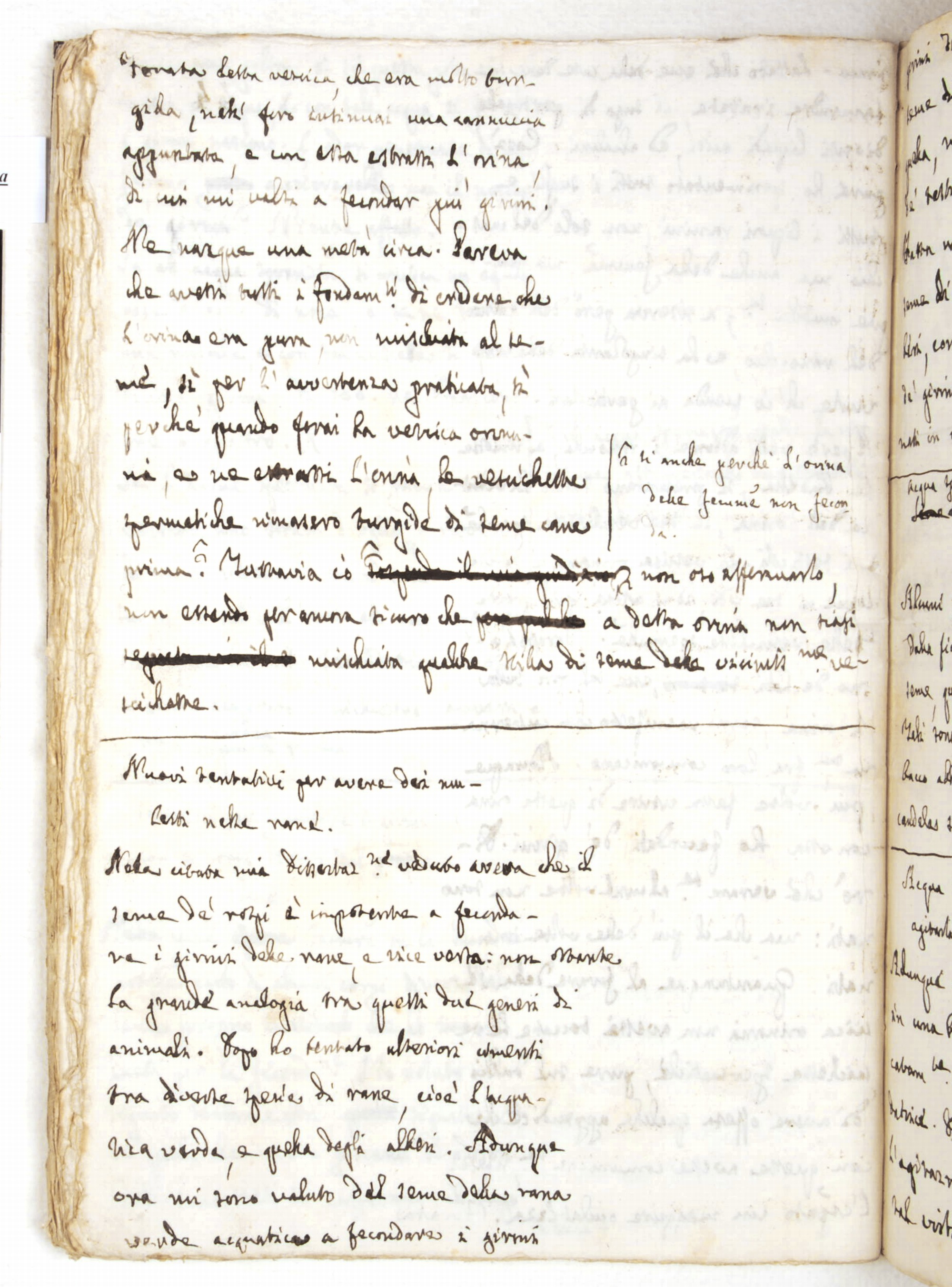 Pag. 44v