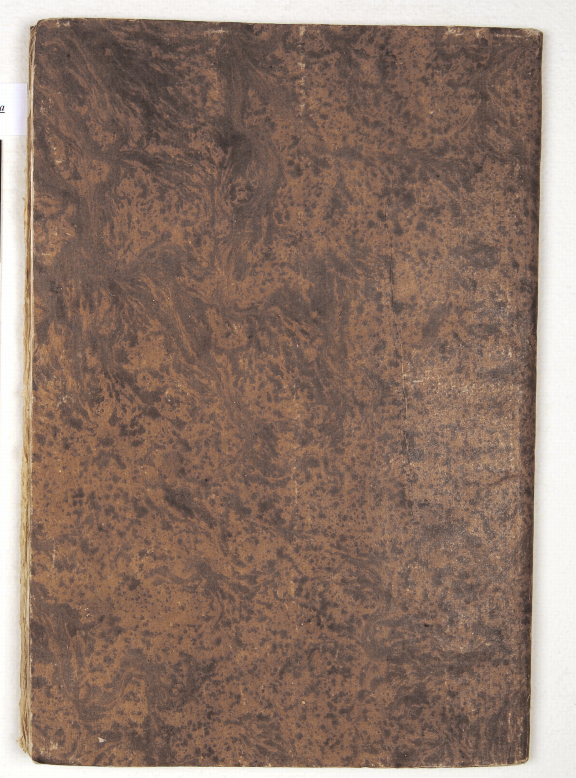 Pag. piatto posteriore