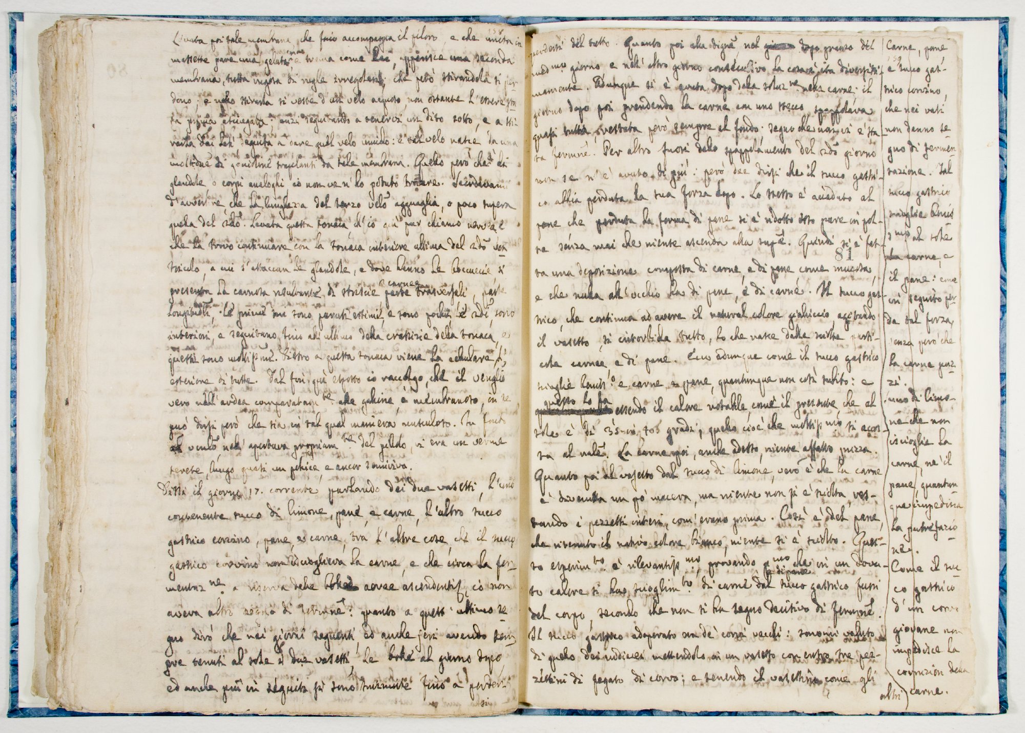 Pag. 81
