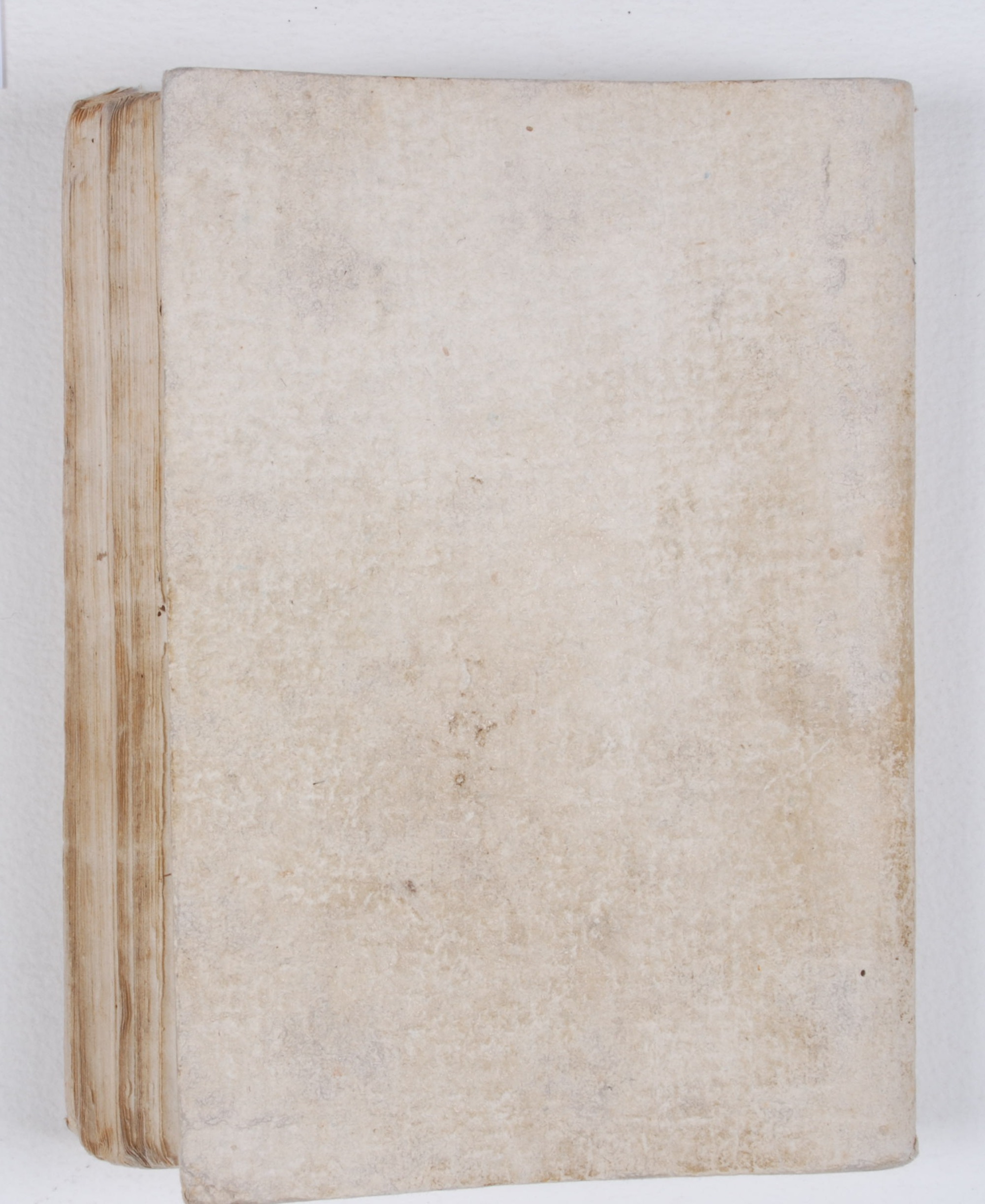 Pag. piatto posteriore