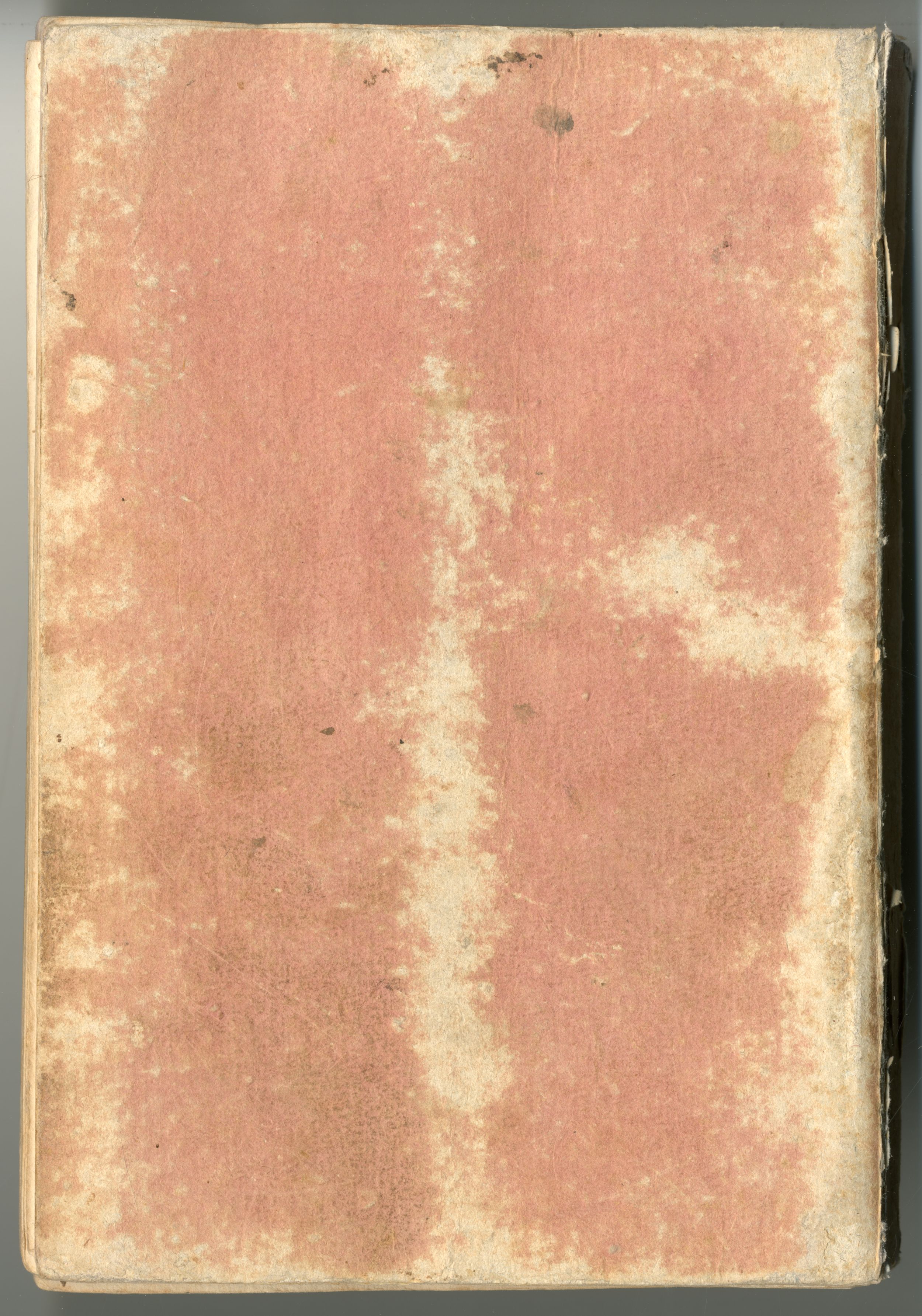 Pag. piatto posteriore