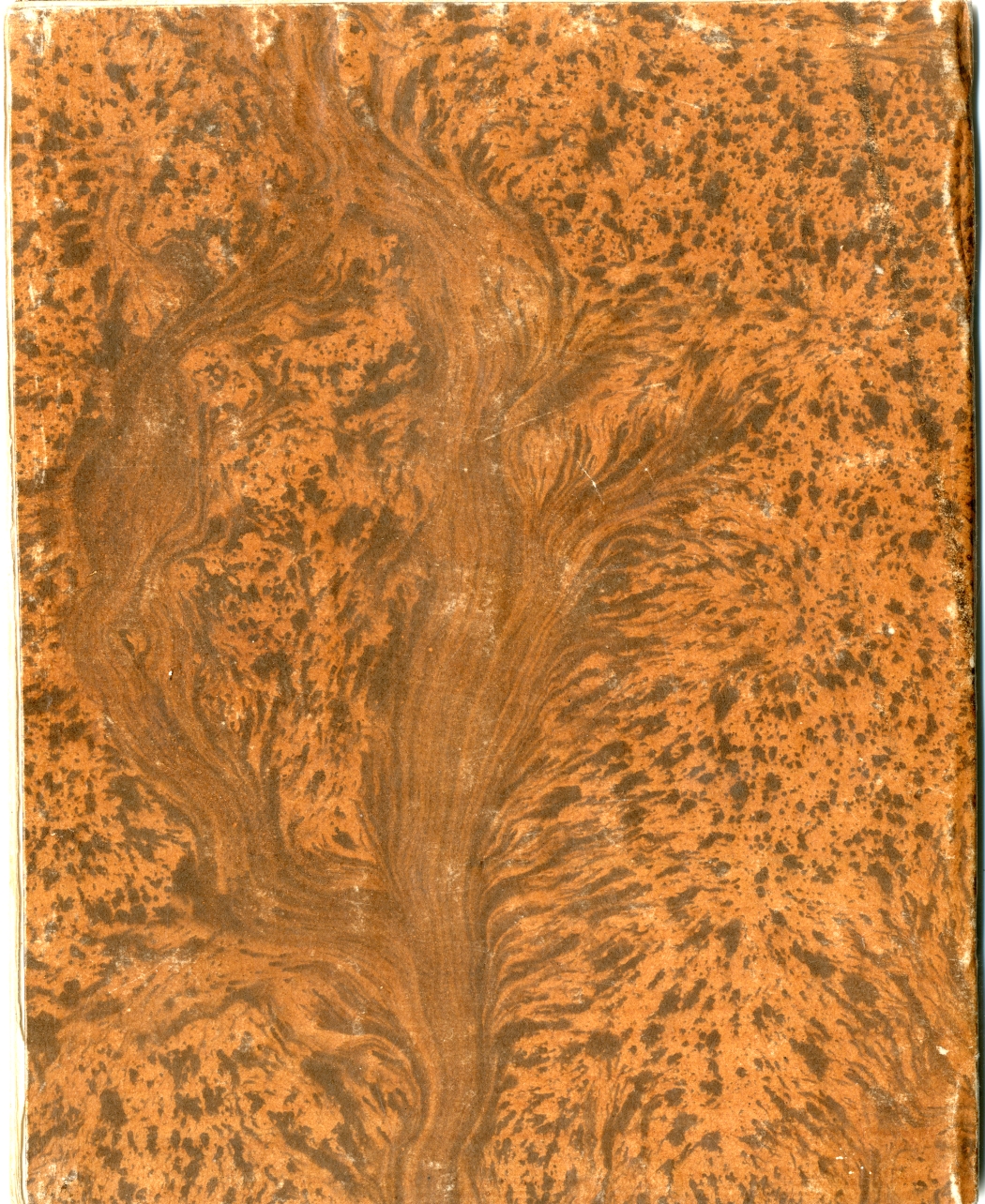 Pag. piatto posteriore