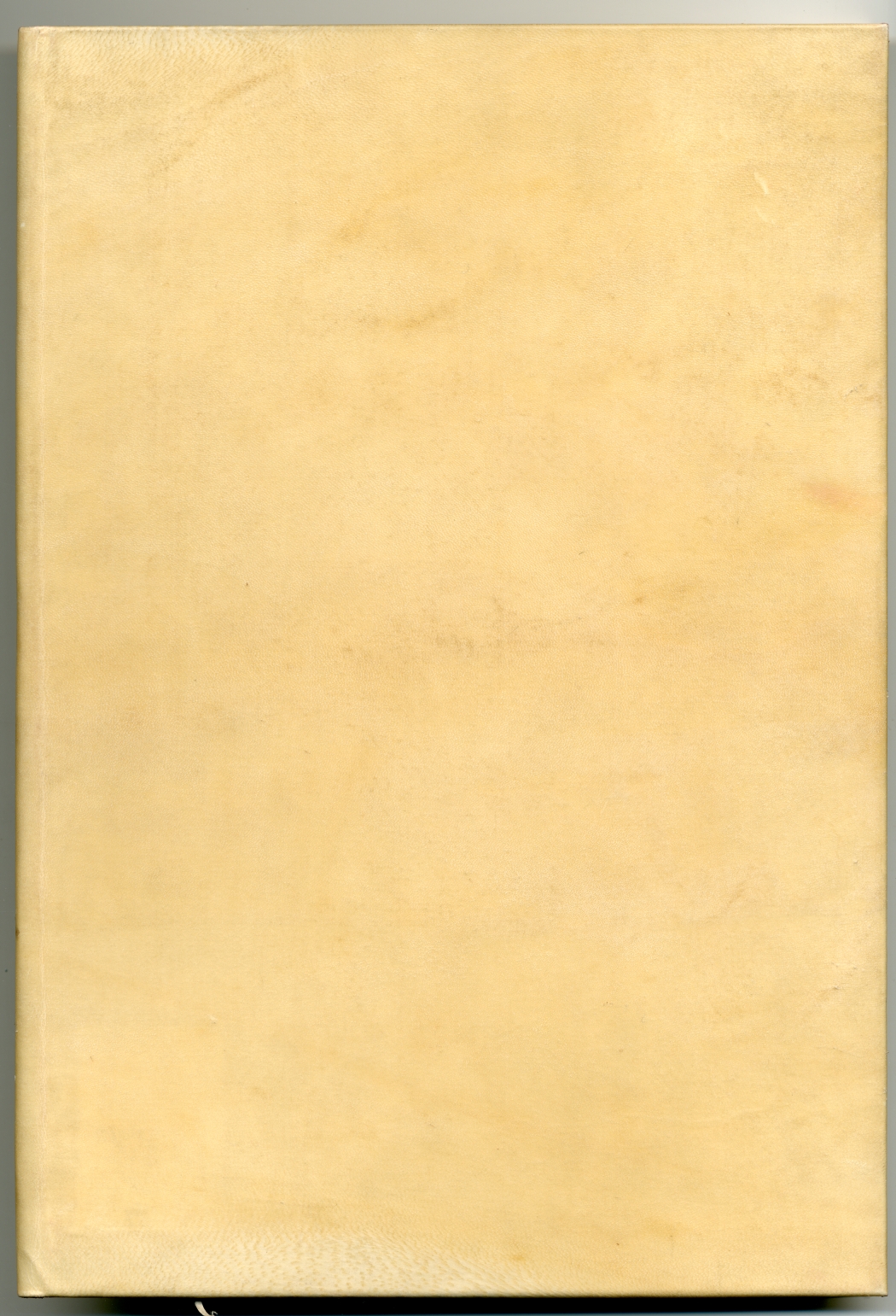 Pag. piatto anteriore