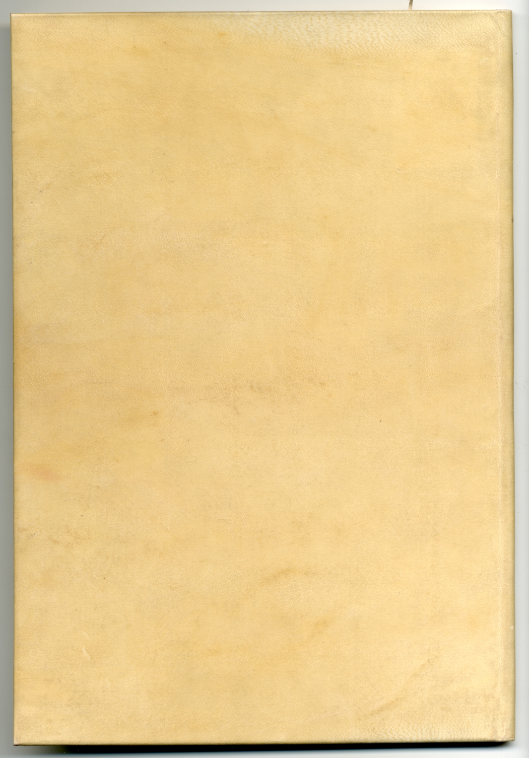 Pag. piatto posteriore