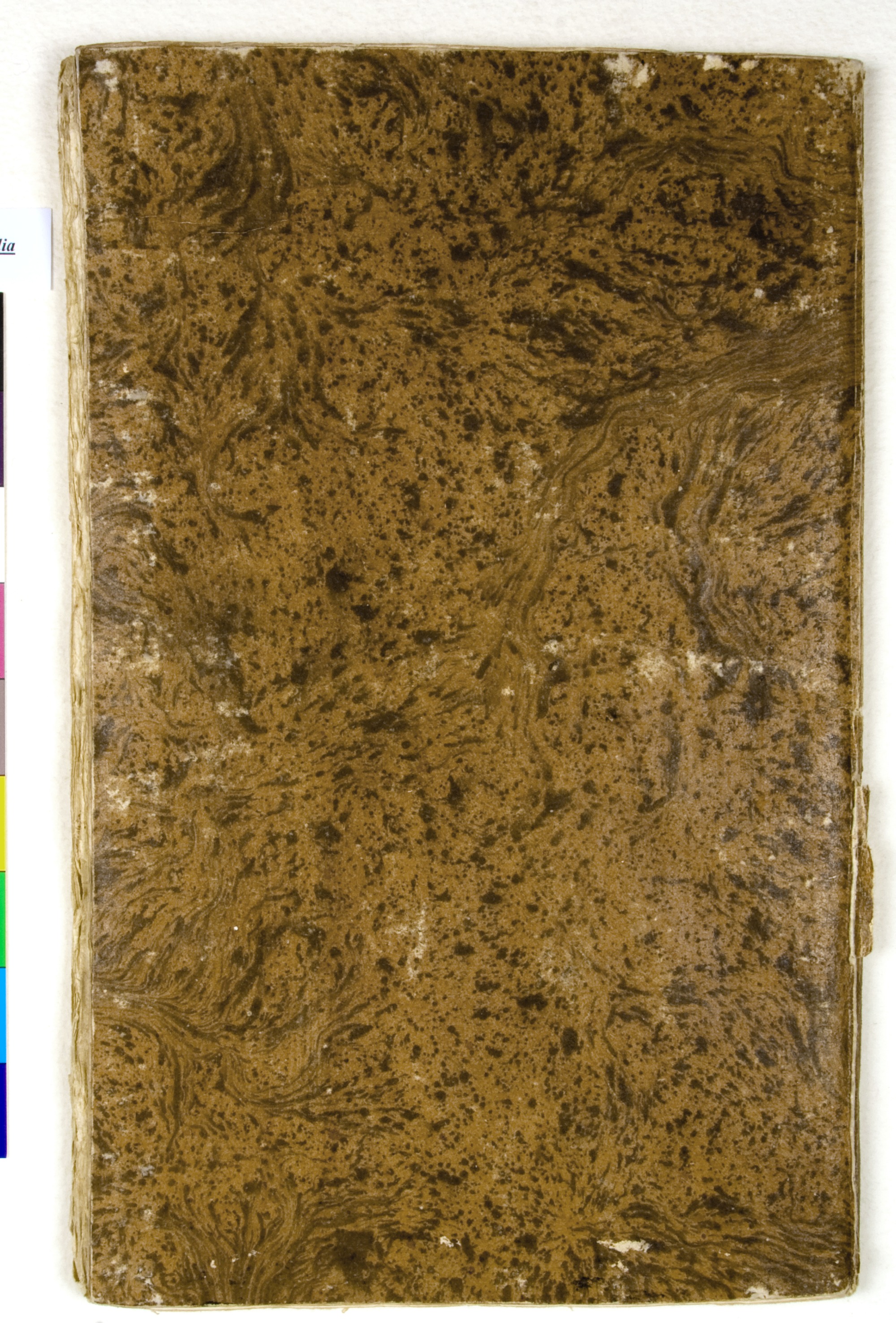 Pag. piatto posteriore