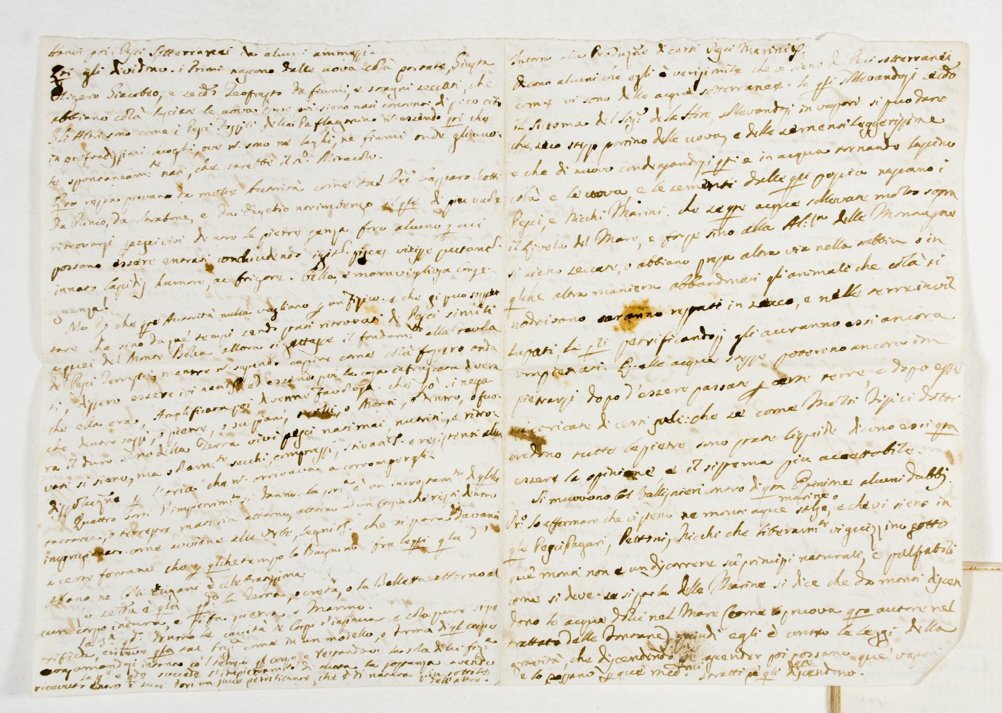 Pag. 25v carta aggiunta