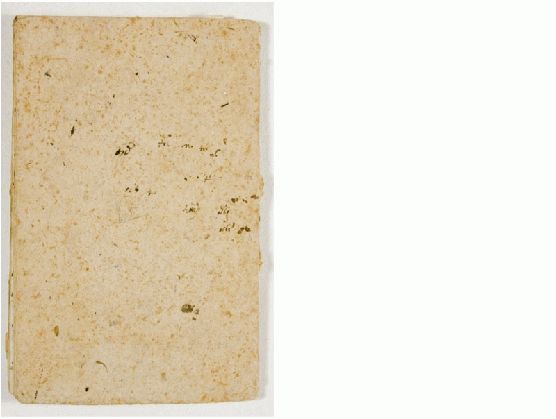 Pag. piatto posteriore