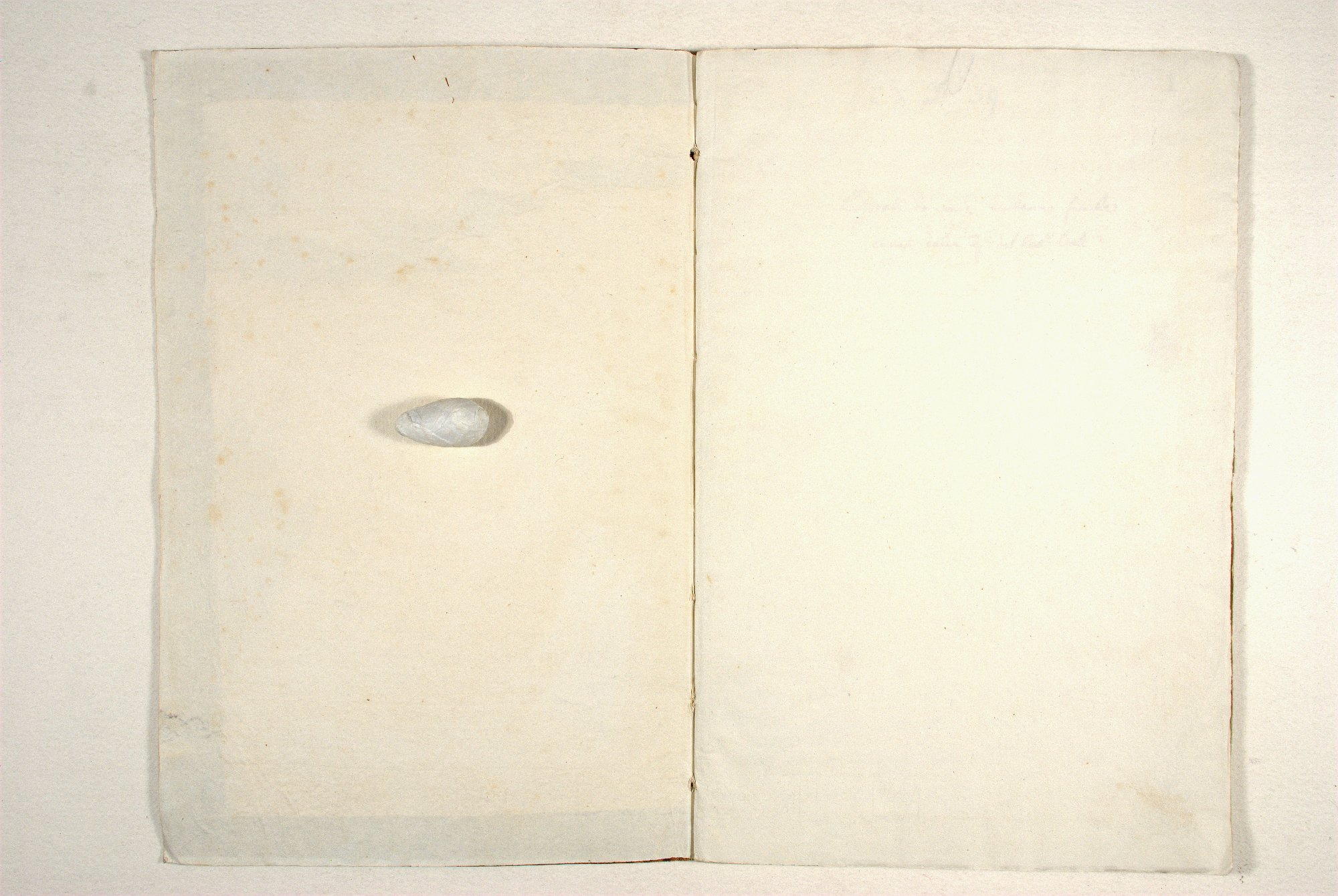 Pag. controguardia piatto anteriore