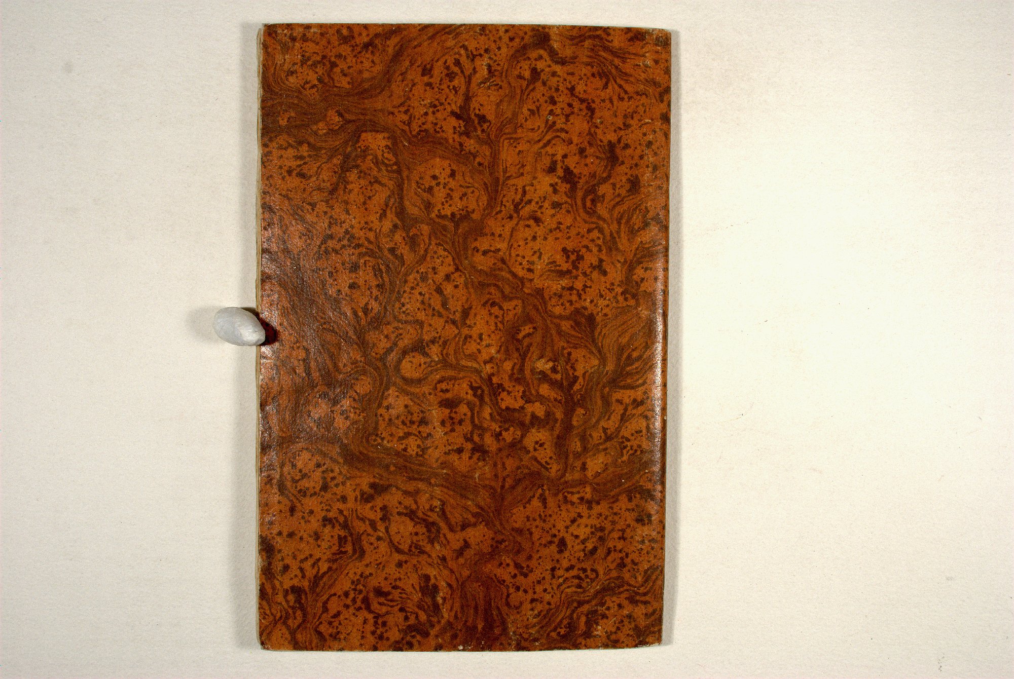 Pag. piatto posteriore