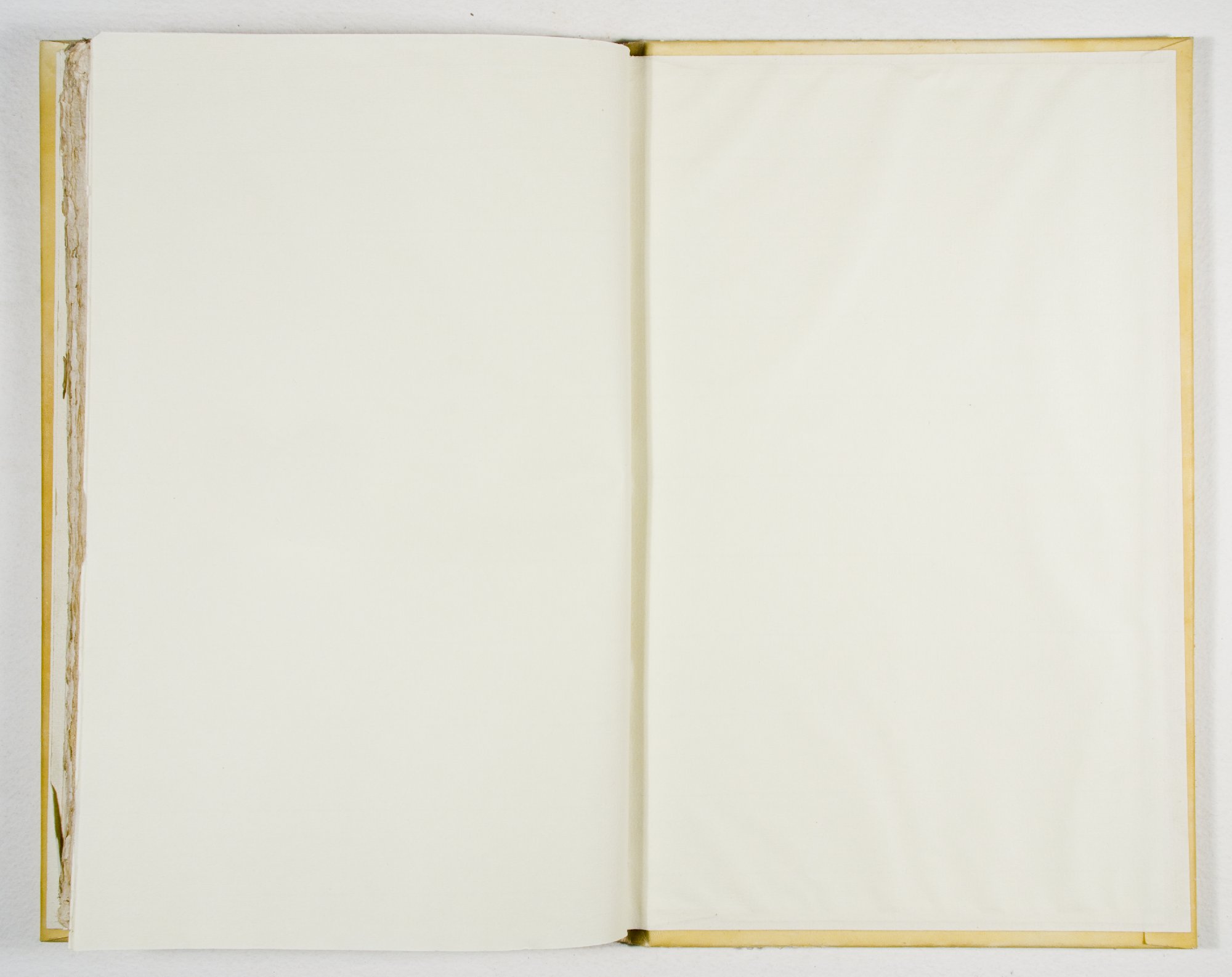 Pag. controguardia piatto posteriore