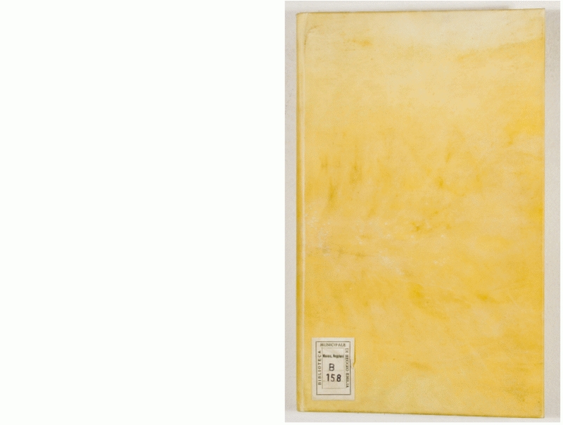 Pag. piatto anteriore