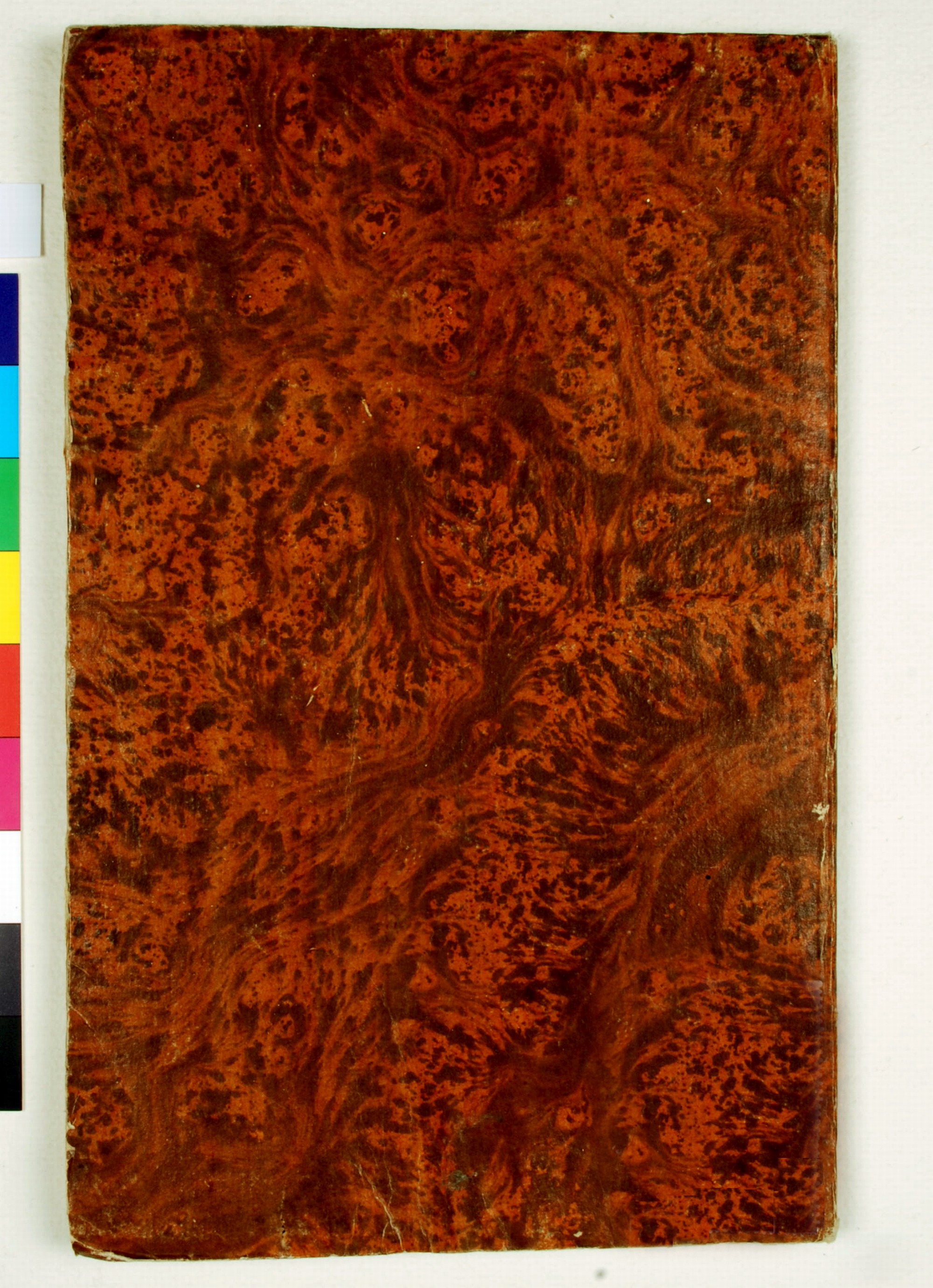 Pag. piatto posteriore