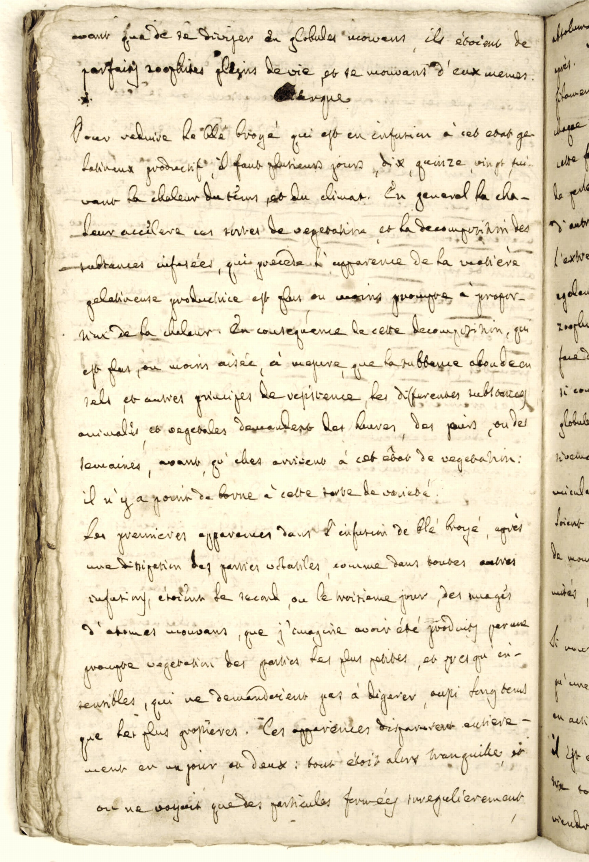 Pag. 41v