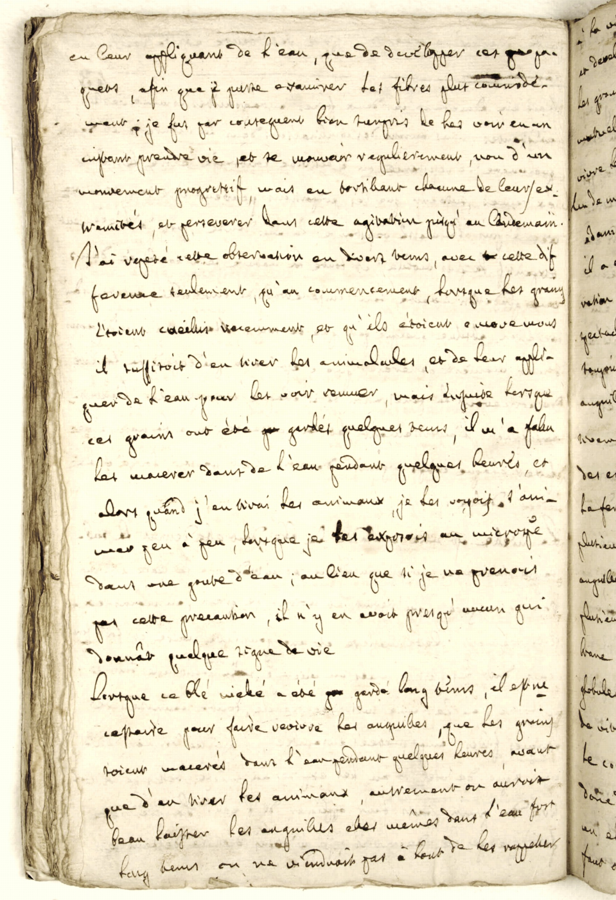 Pag. 43v