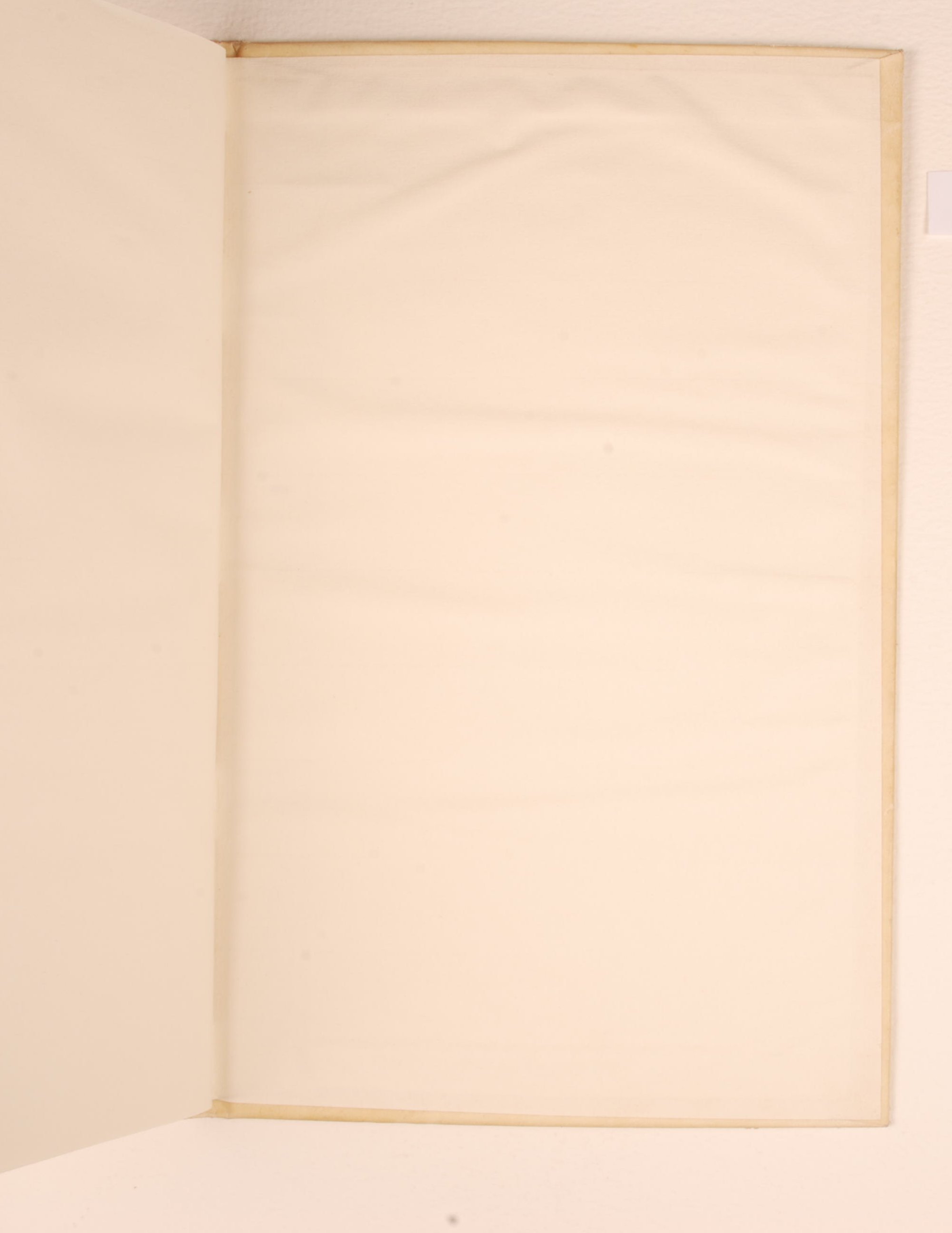 Pag. controguardia piatto posteriore