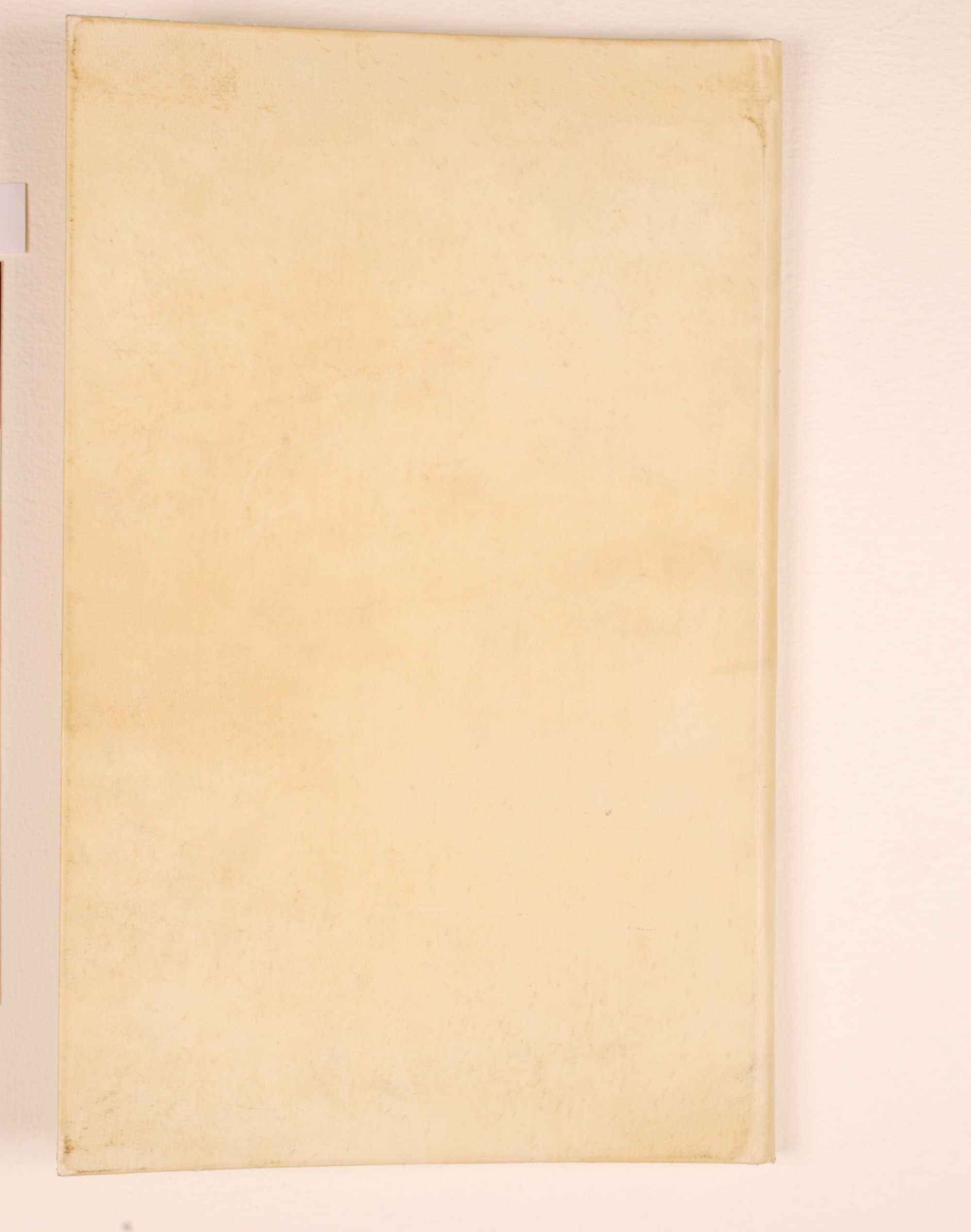 Pag. piatto posteriore