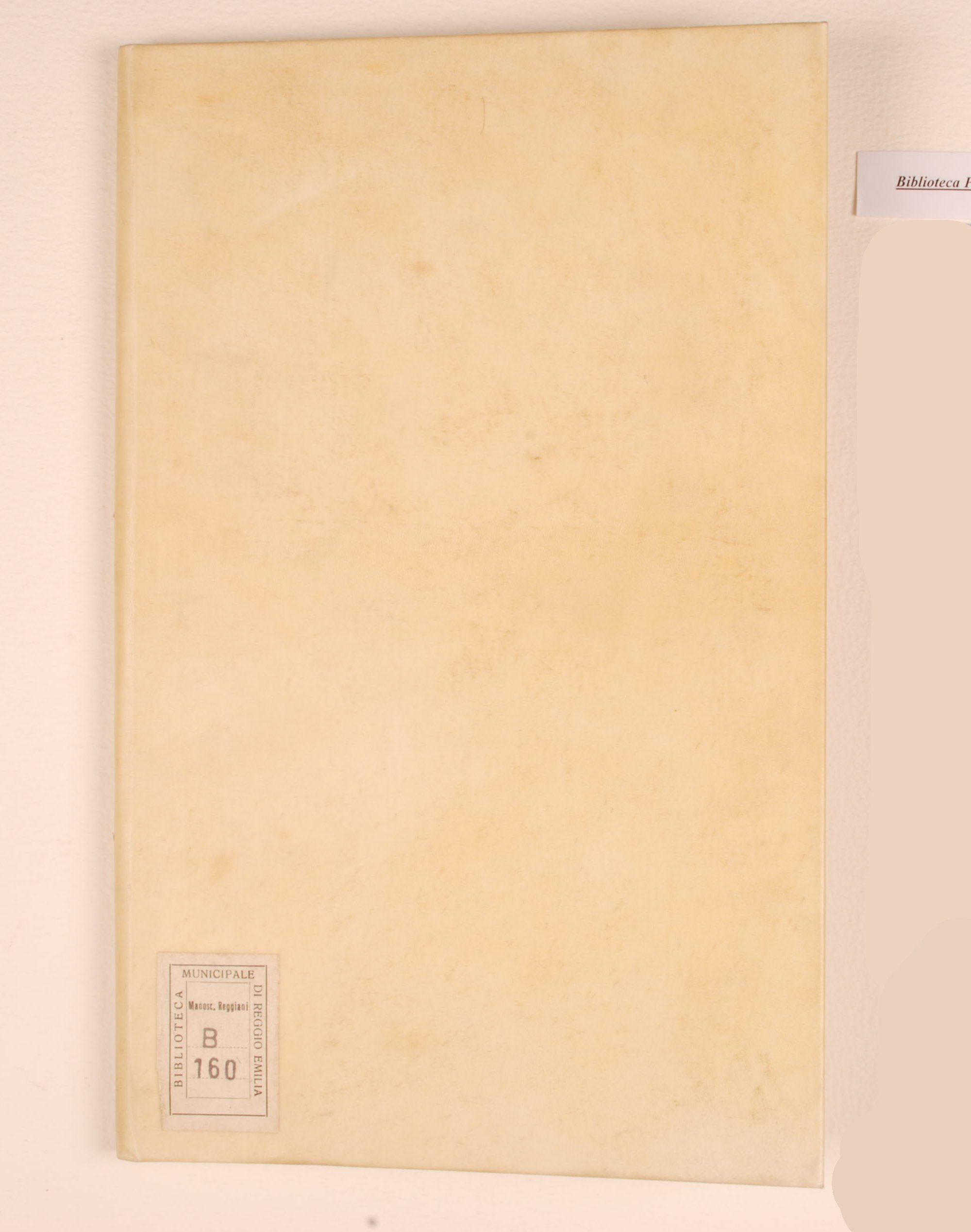 Pag. piatto anteriore