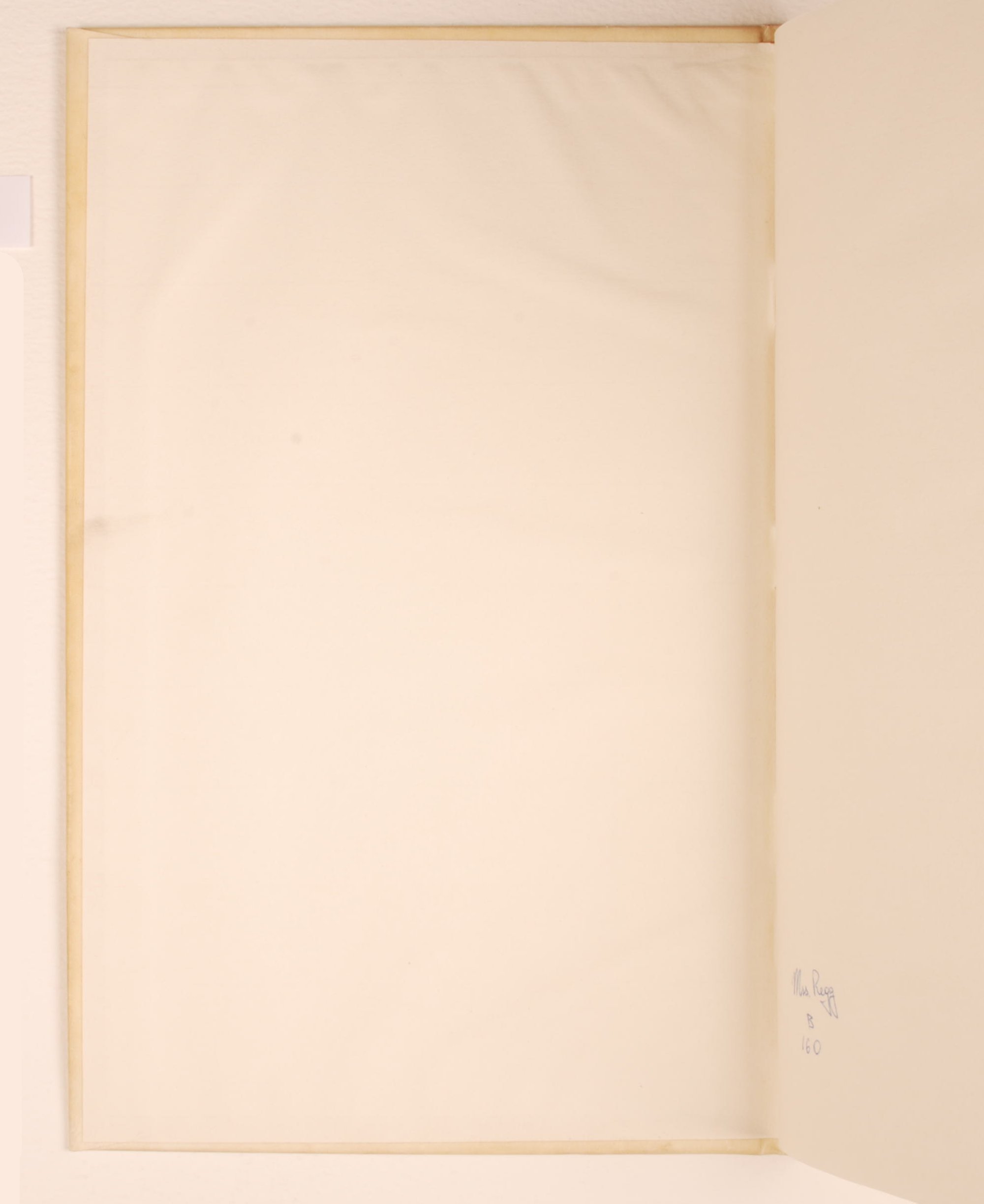 Pag. controguardia piatto anteriore