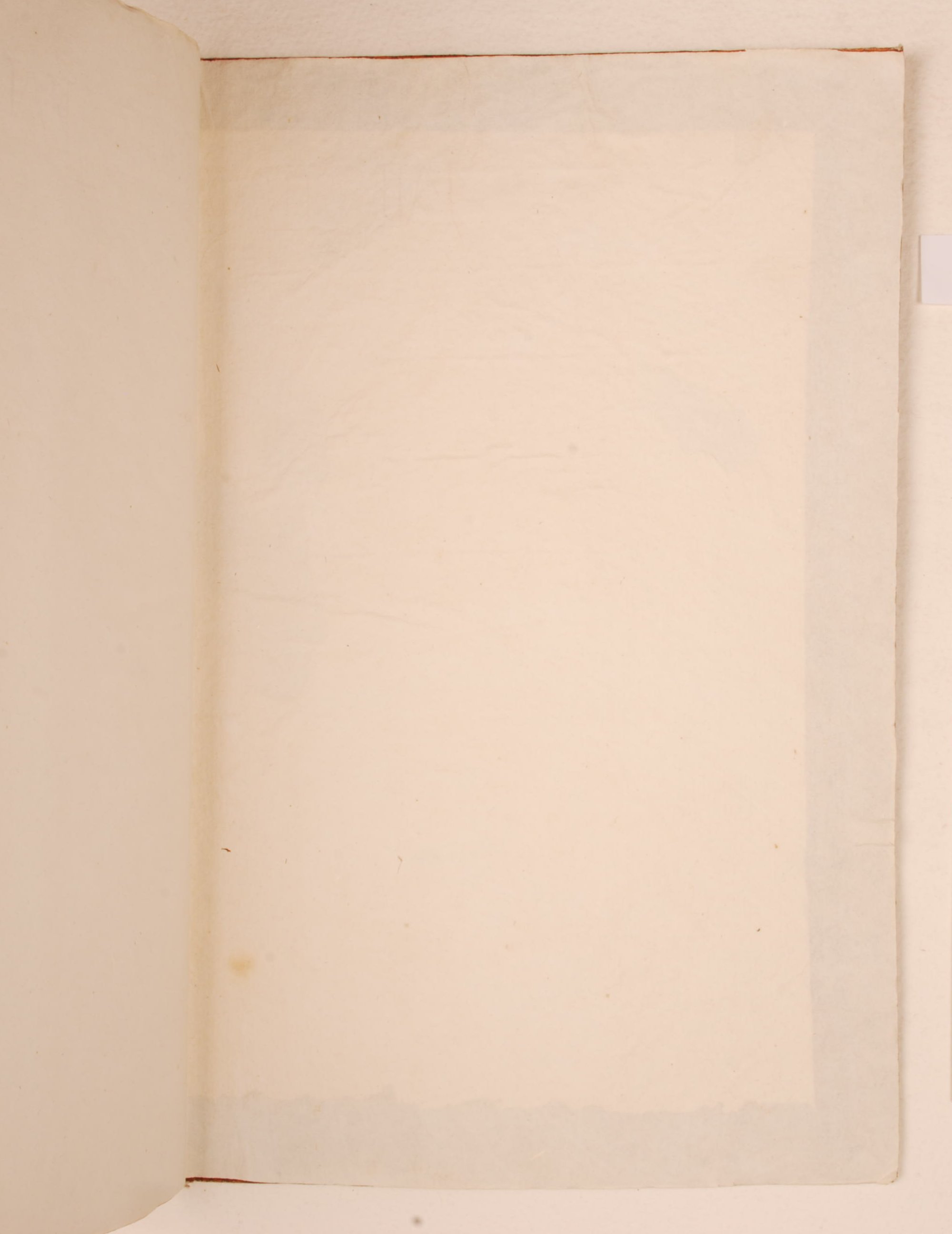 Pag. controguardia piatto posteriore