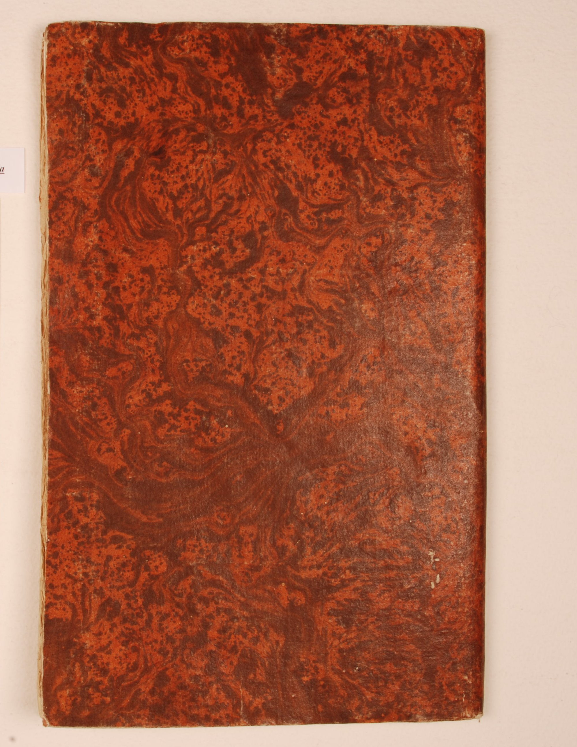 Pag. piatto posteriore