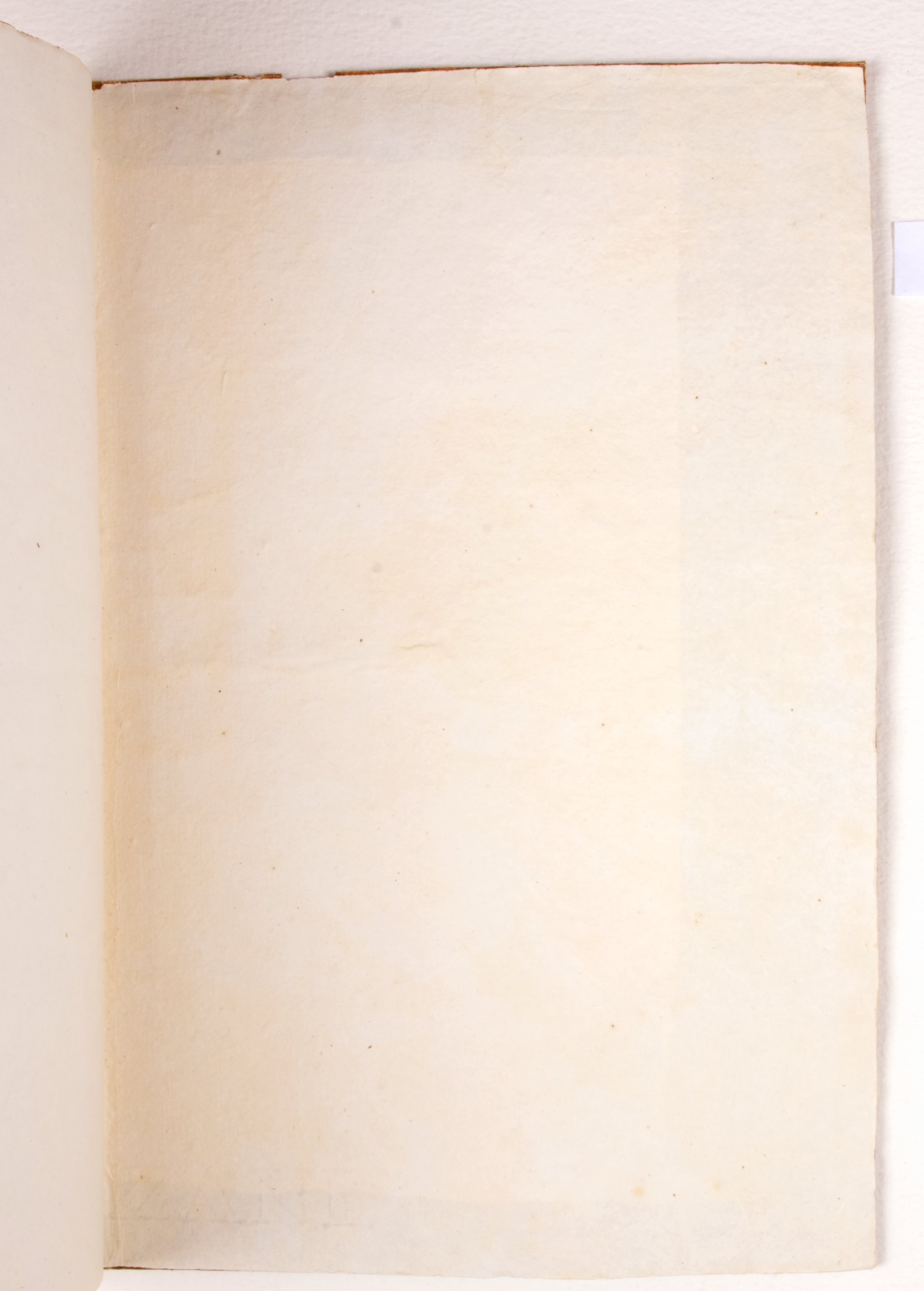 Pag. controguardia piatto posteriore