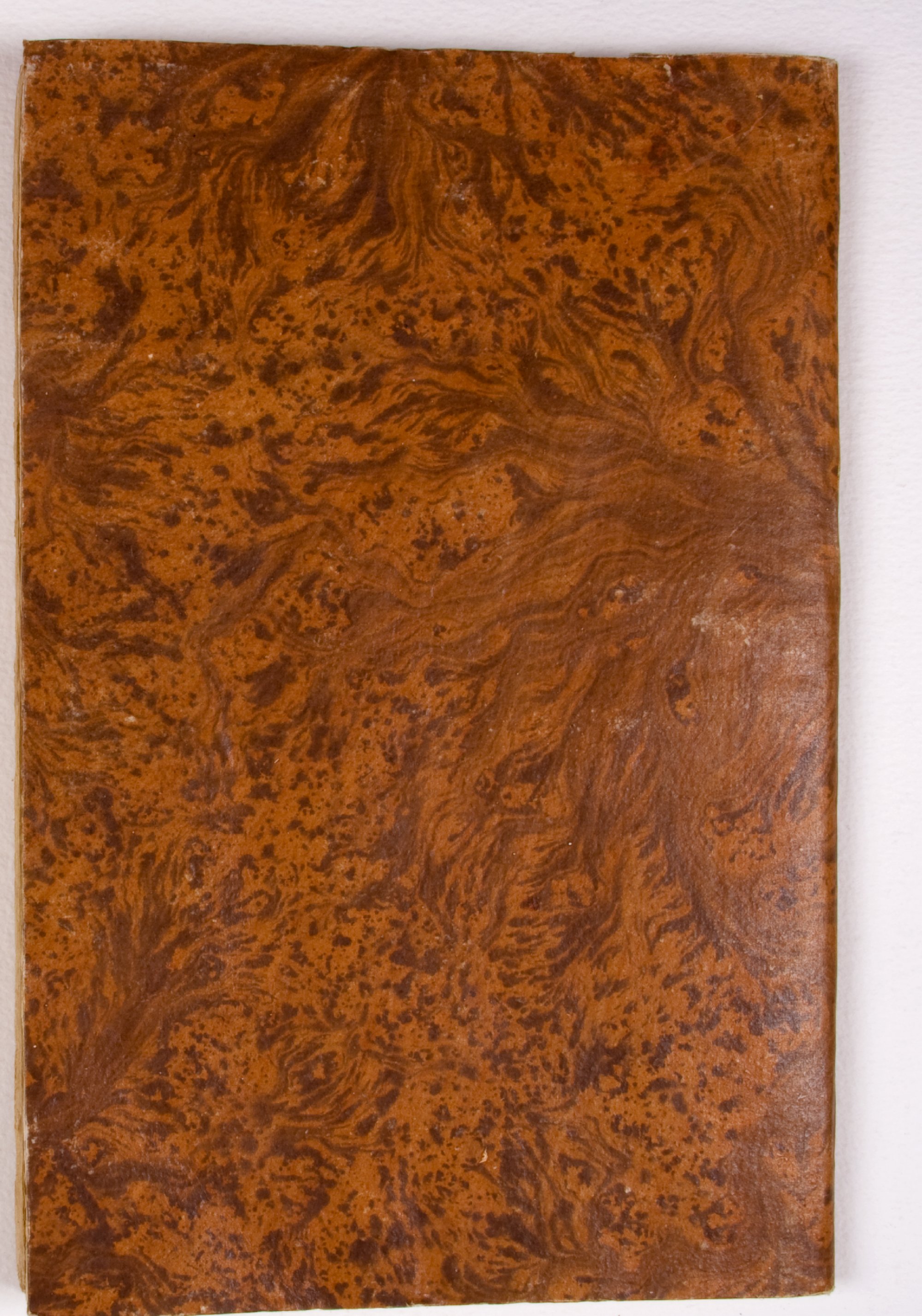 Pag. piatto posteriore