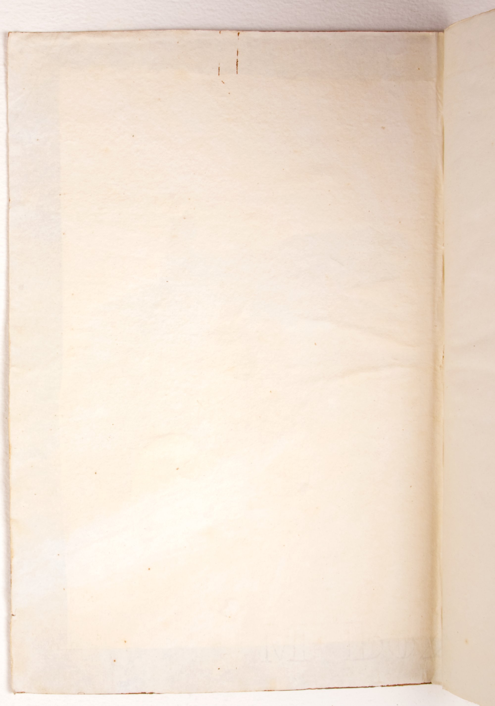 Pag. controguardia piatto anteriore